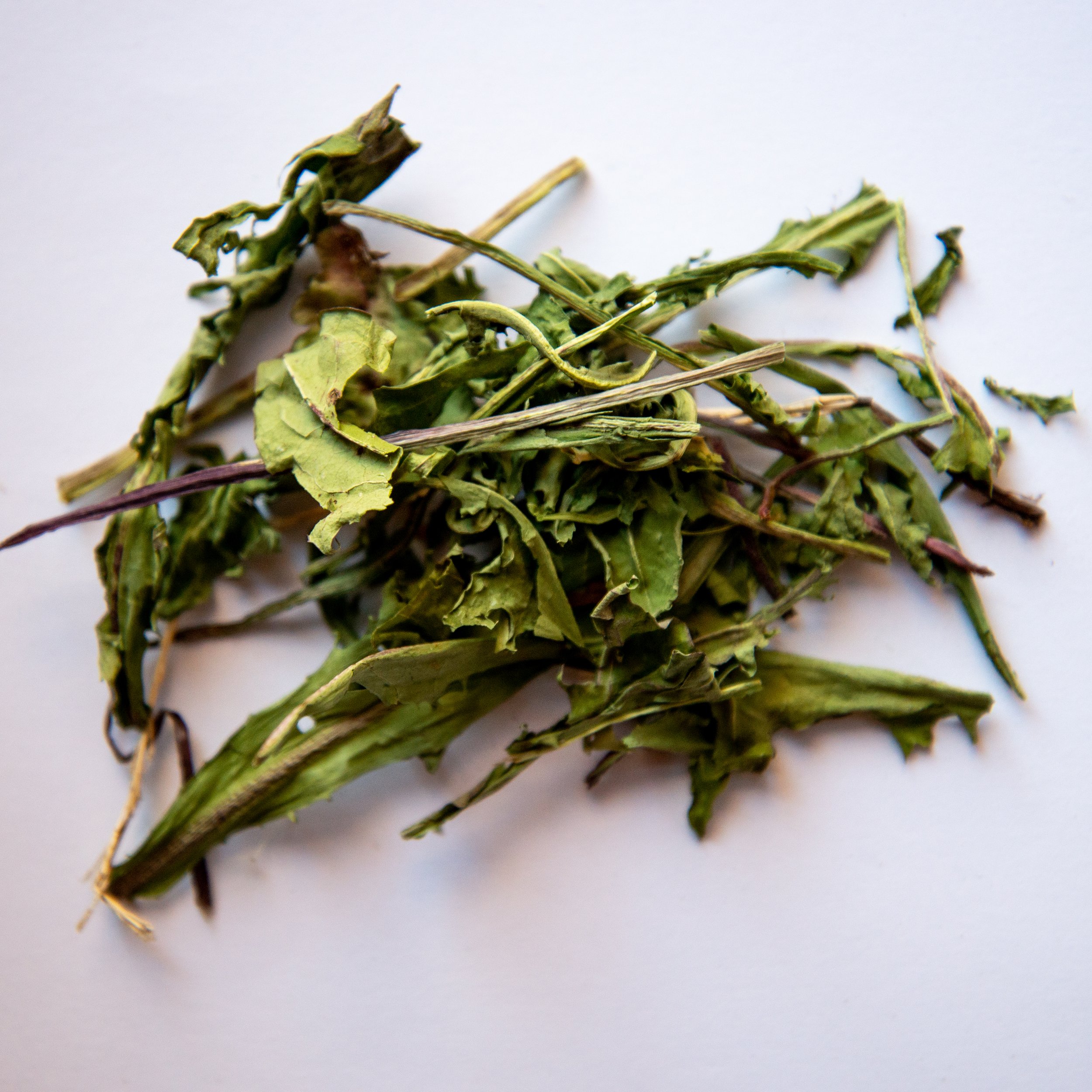 DandelionLeaf.jpg