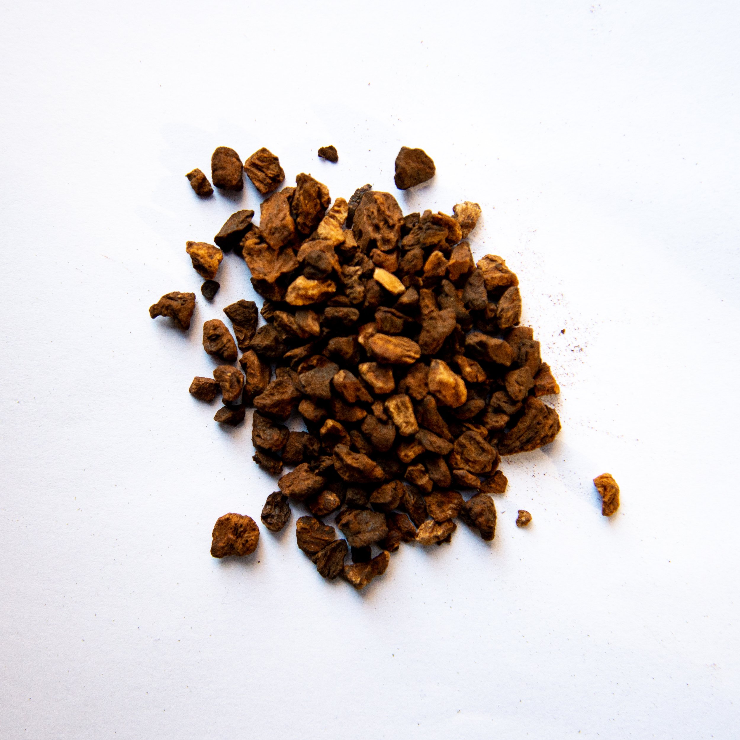 Chicory Root.jpg
