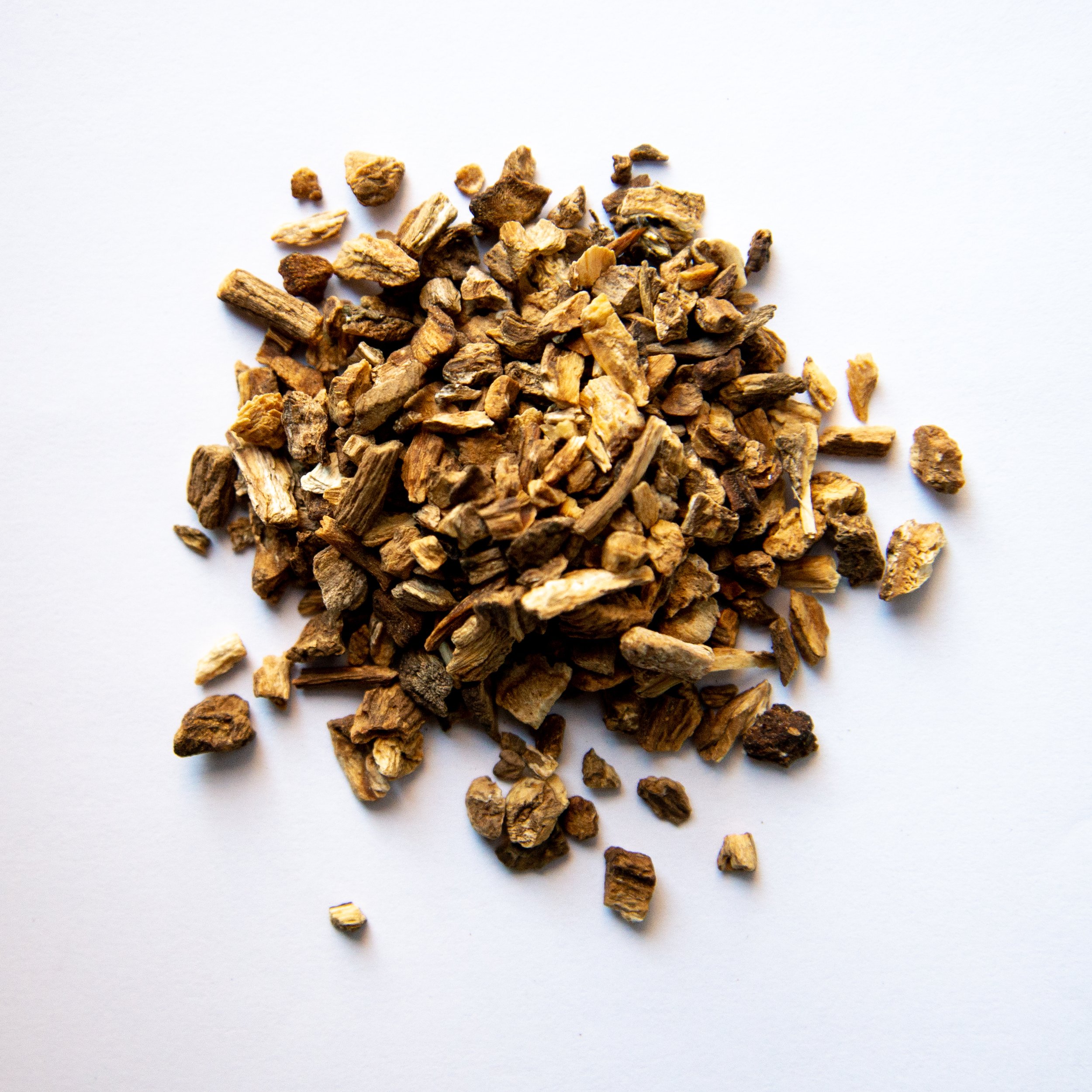 Burdock.jpg