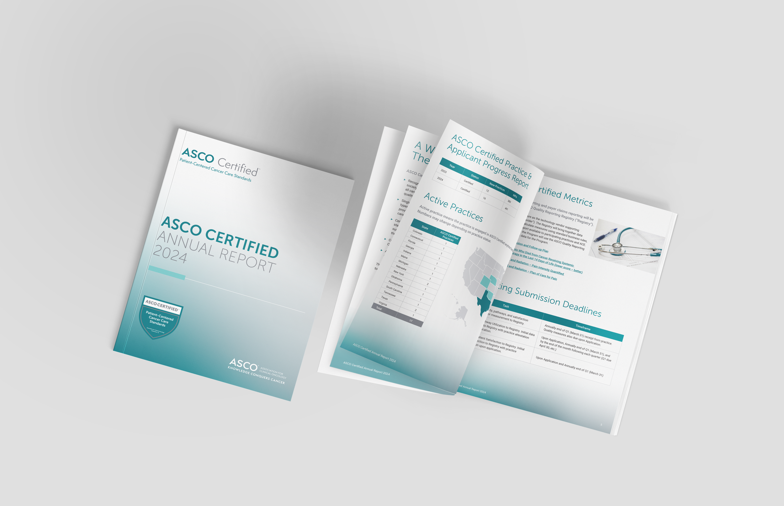 Annual report for current participating clinics.