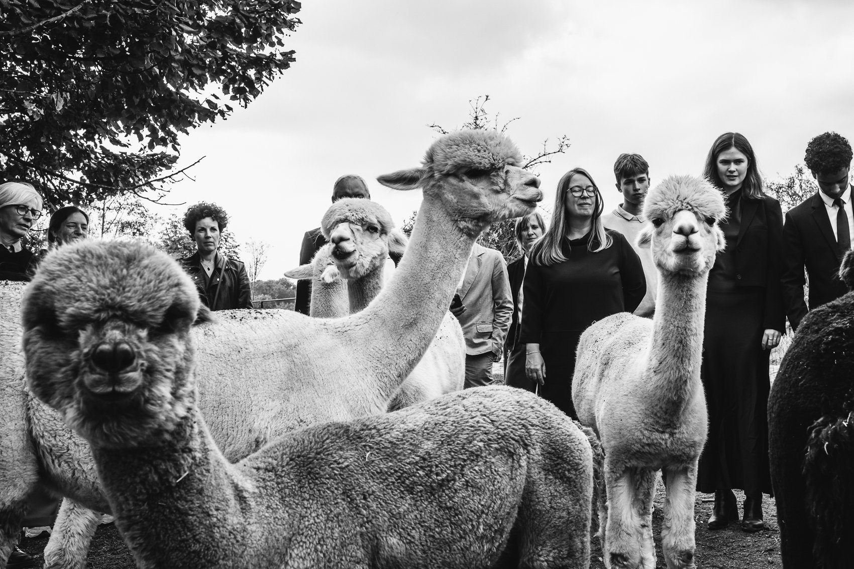 Lensmens - trouwfotograaf Annelies Thomas Wilrijk Oogsttafel-35.jpg