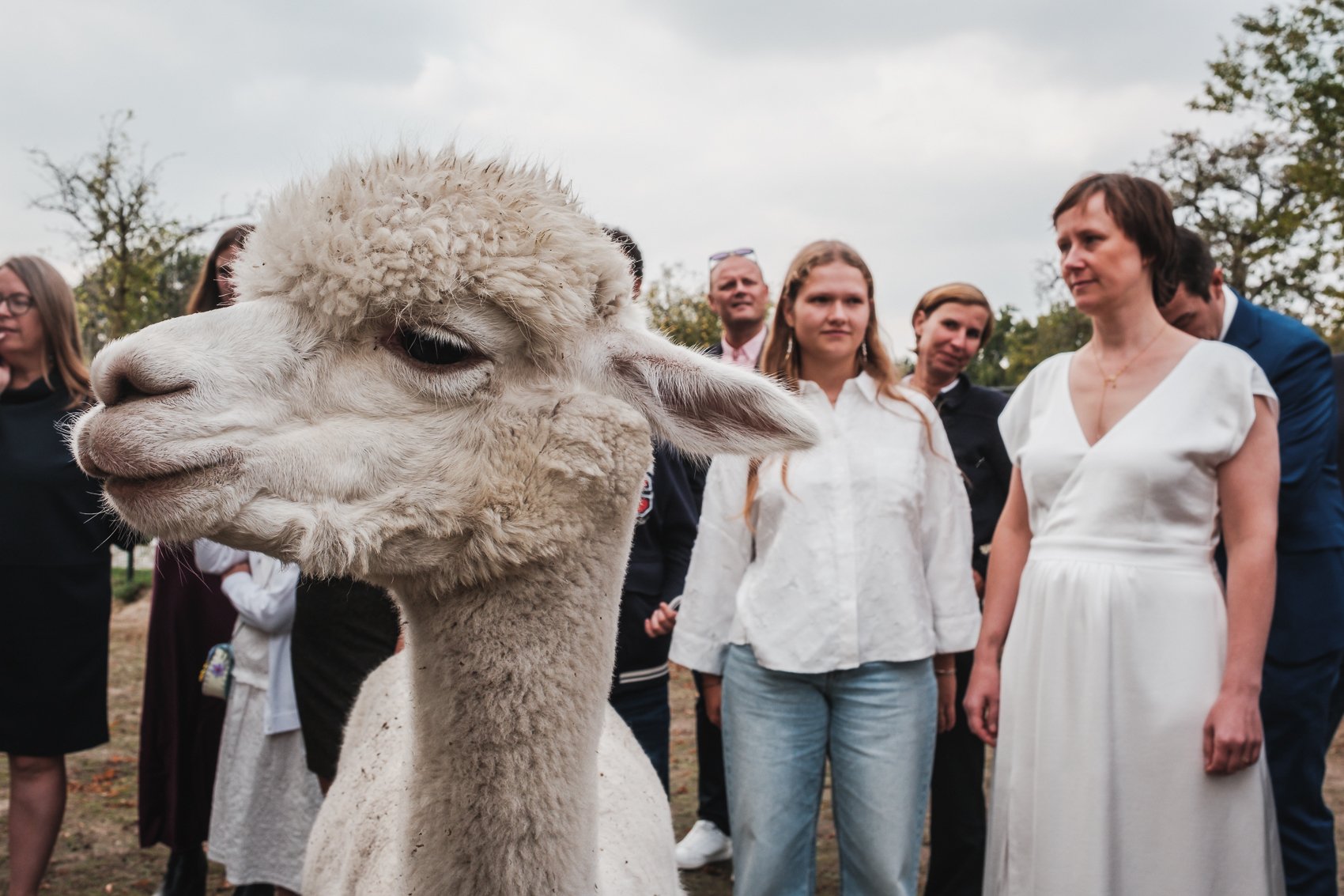 Lensmens - trouwfotograaf Annelies Thomas Wilrijk Oogsttafel-36.jpg