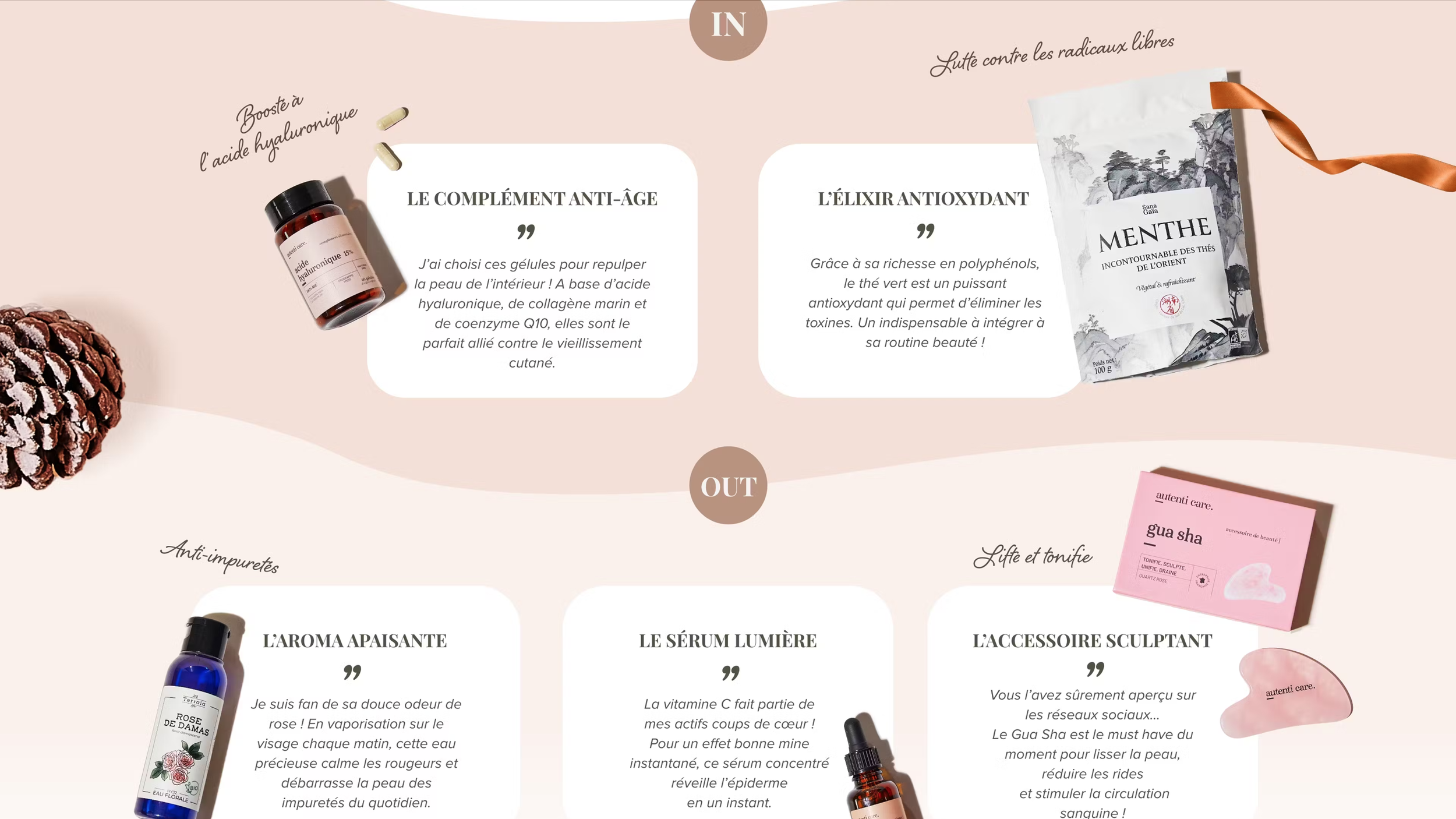 Capture d’écran 2025-03-17 à 13.03.59.png