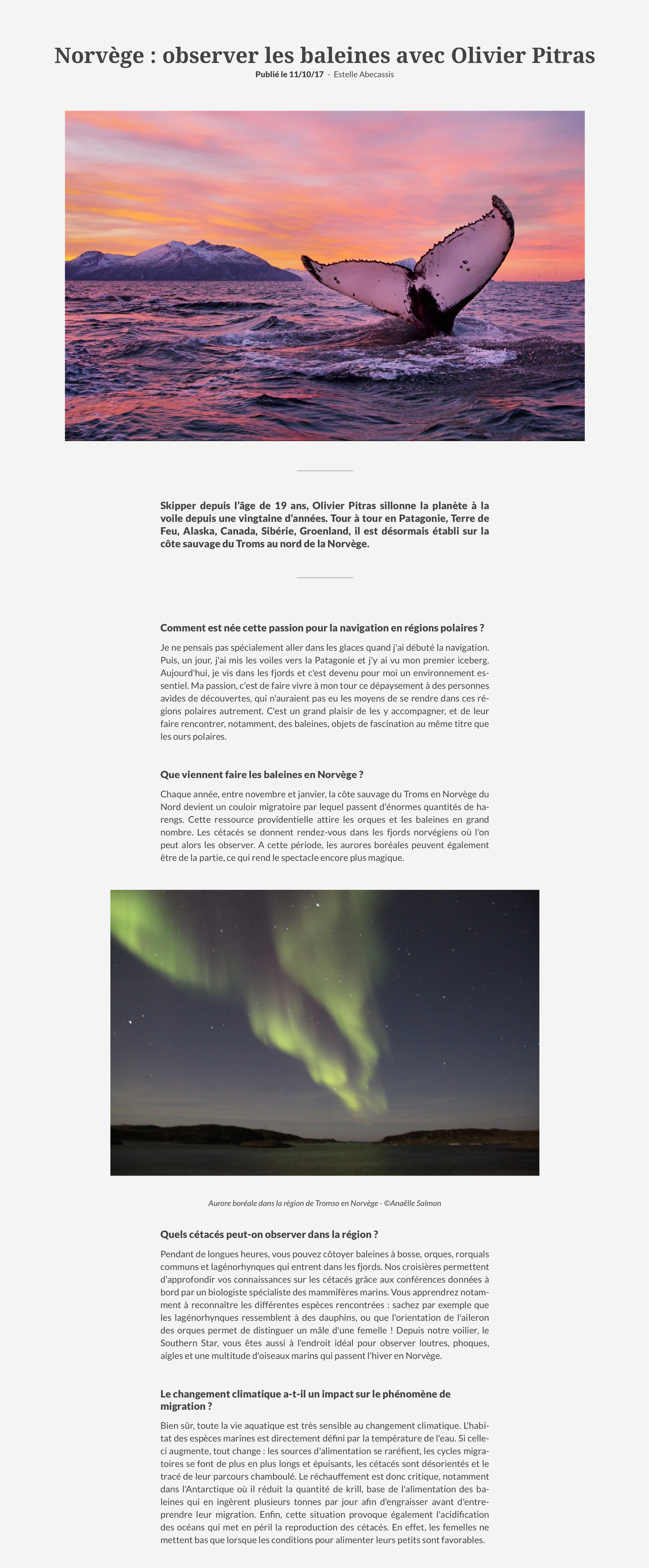 Norvège-observer-les-baleines-avec-Olivier-Pitras.png