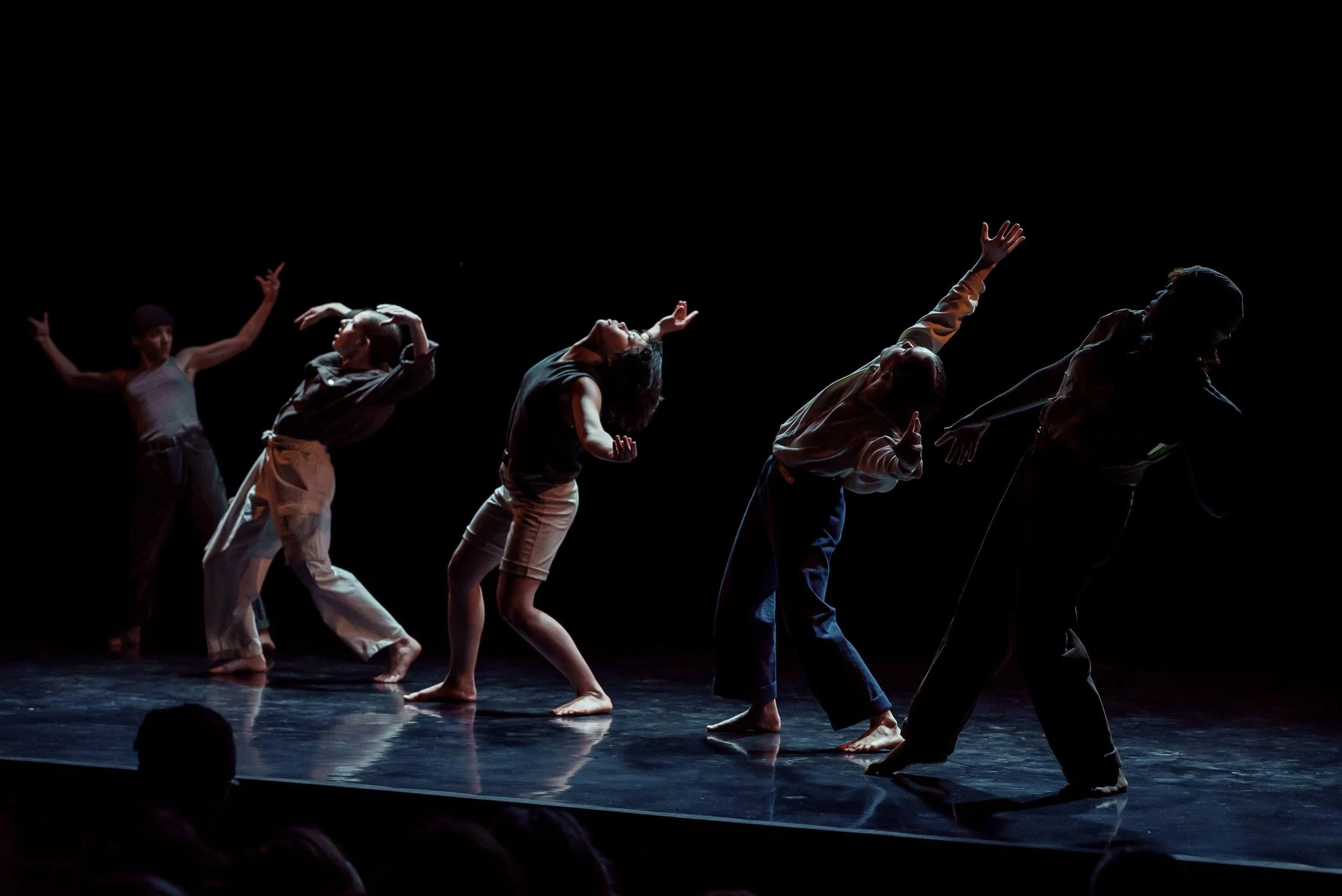 viriles-kynlaus (3).JPG