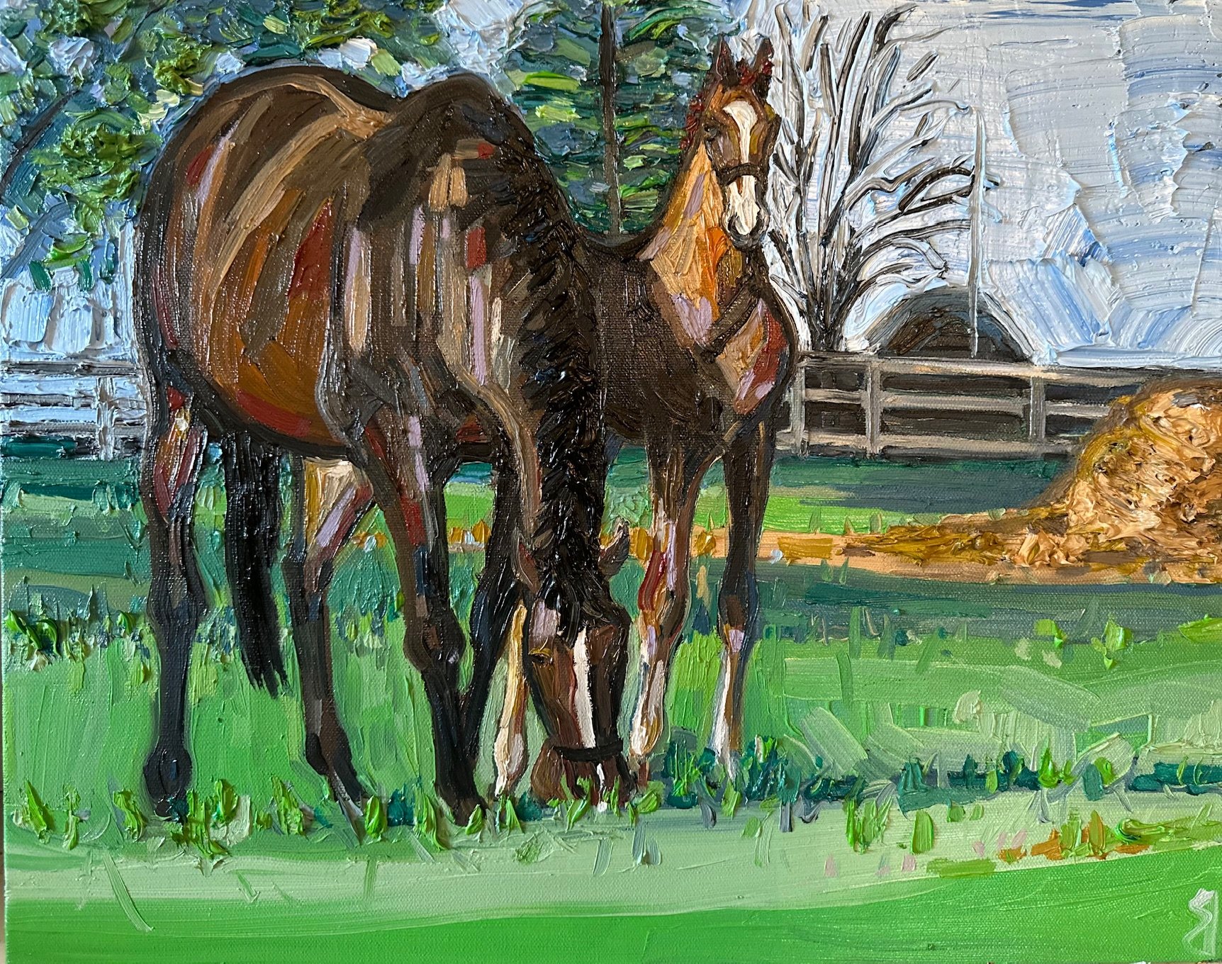Morning Calm
16x20 Inch Oil on Canvas
