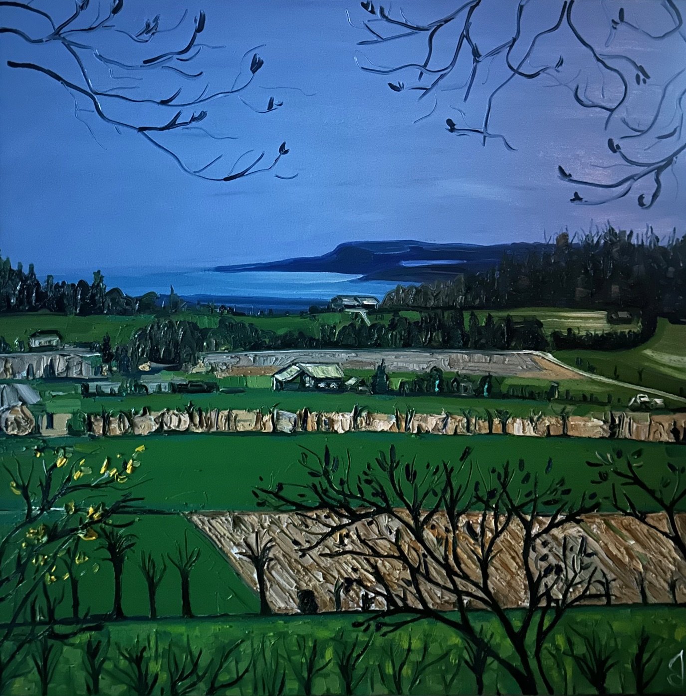 Kemble Awakens
40x40 inch Oil on Canvas
