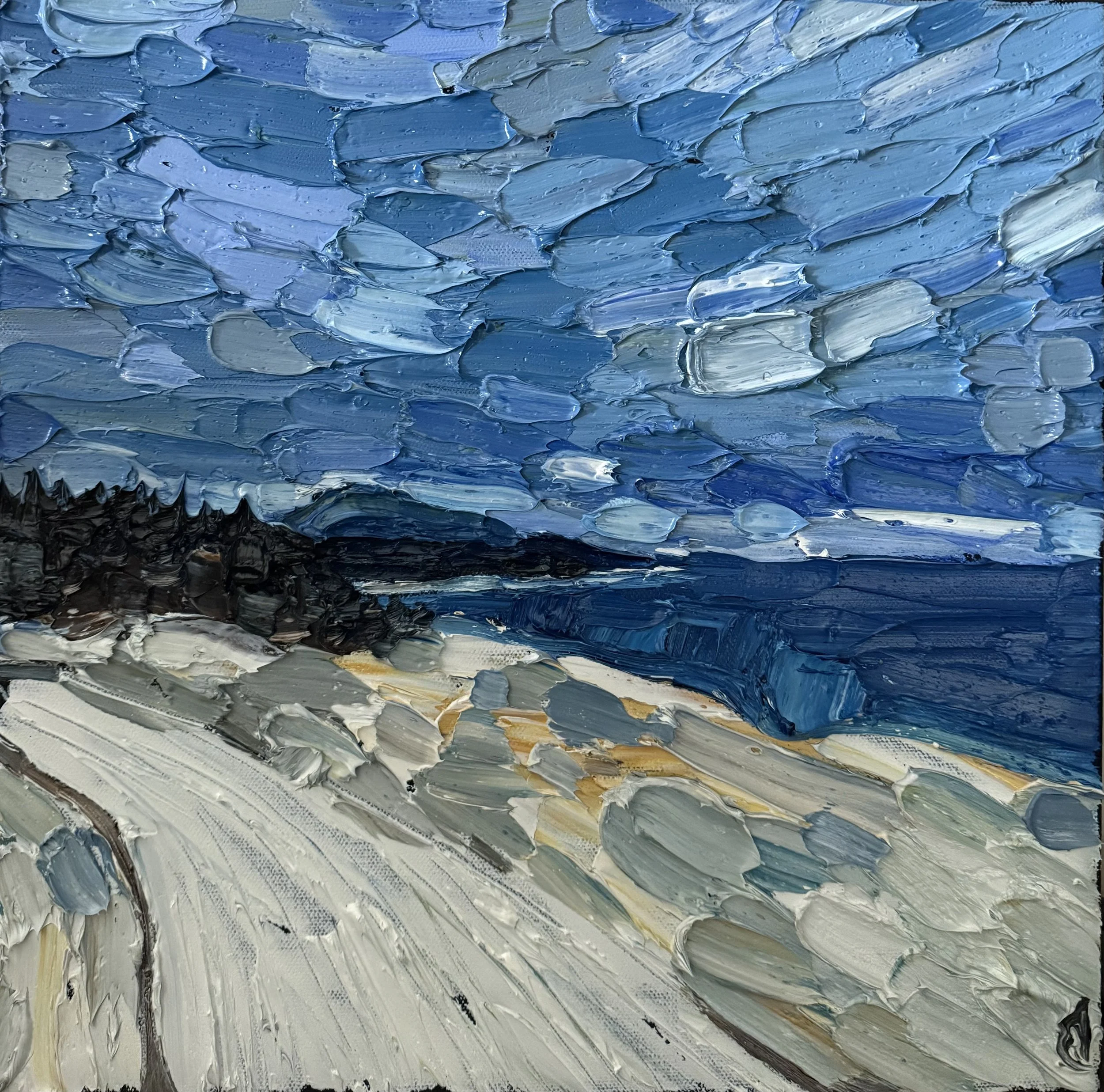 Pretty Blue Views
12x12 Inch Oil on Canvas