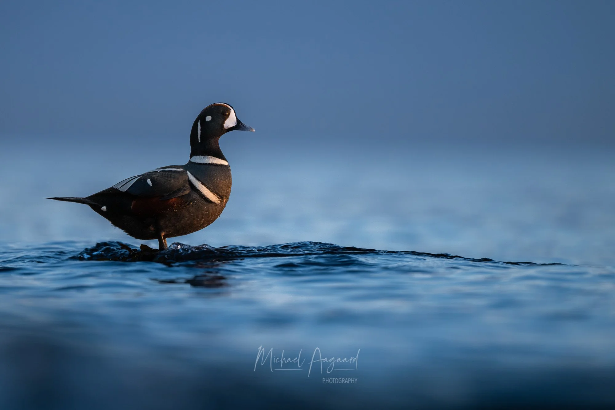 DSC_5765 copy-Edit.jpg