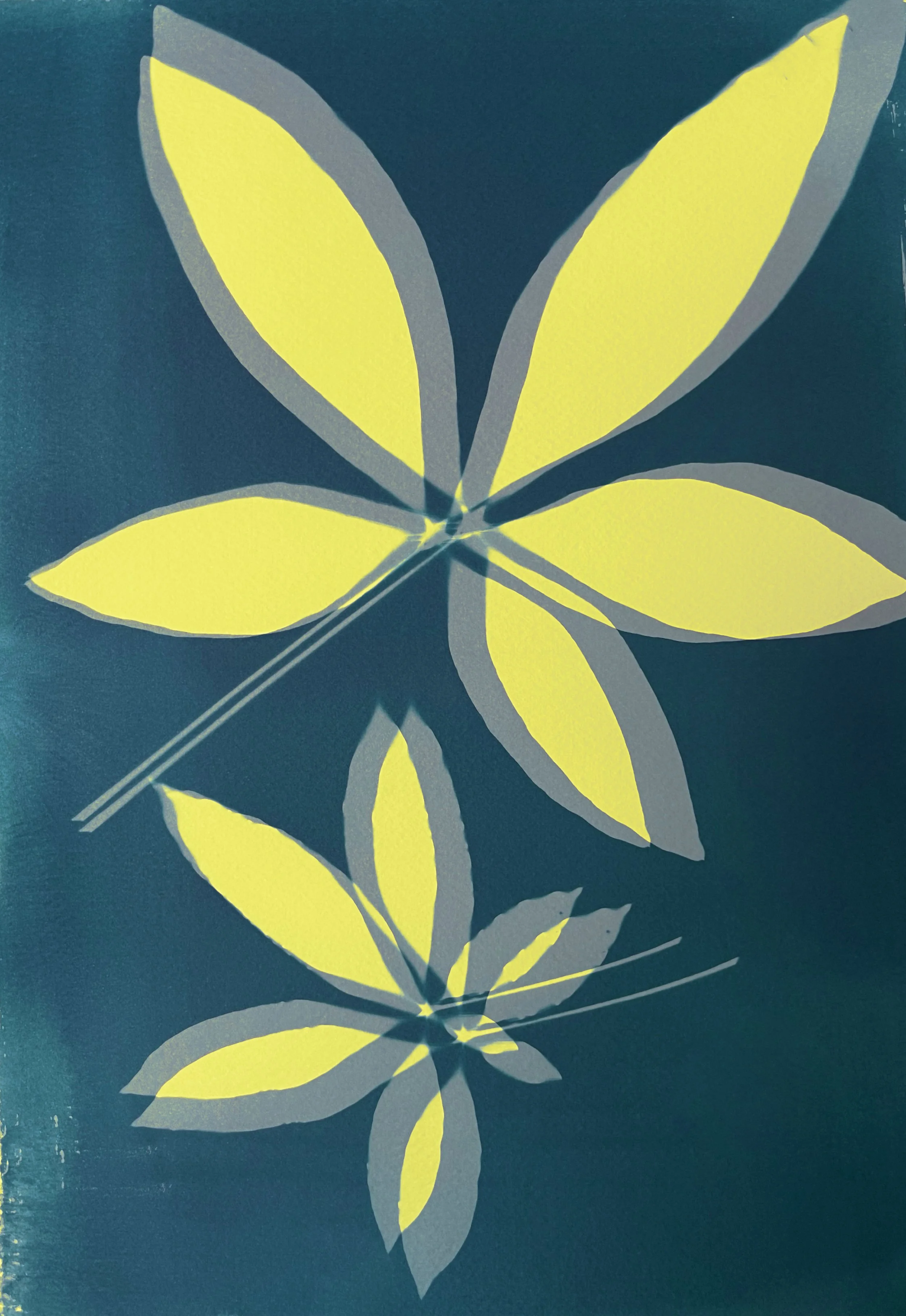 Mony Tree New yellow1.jpg