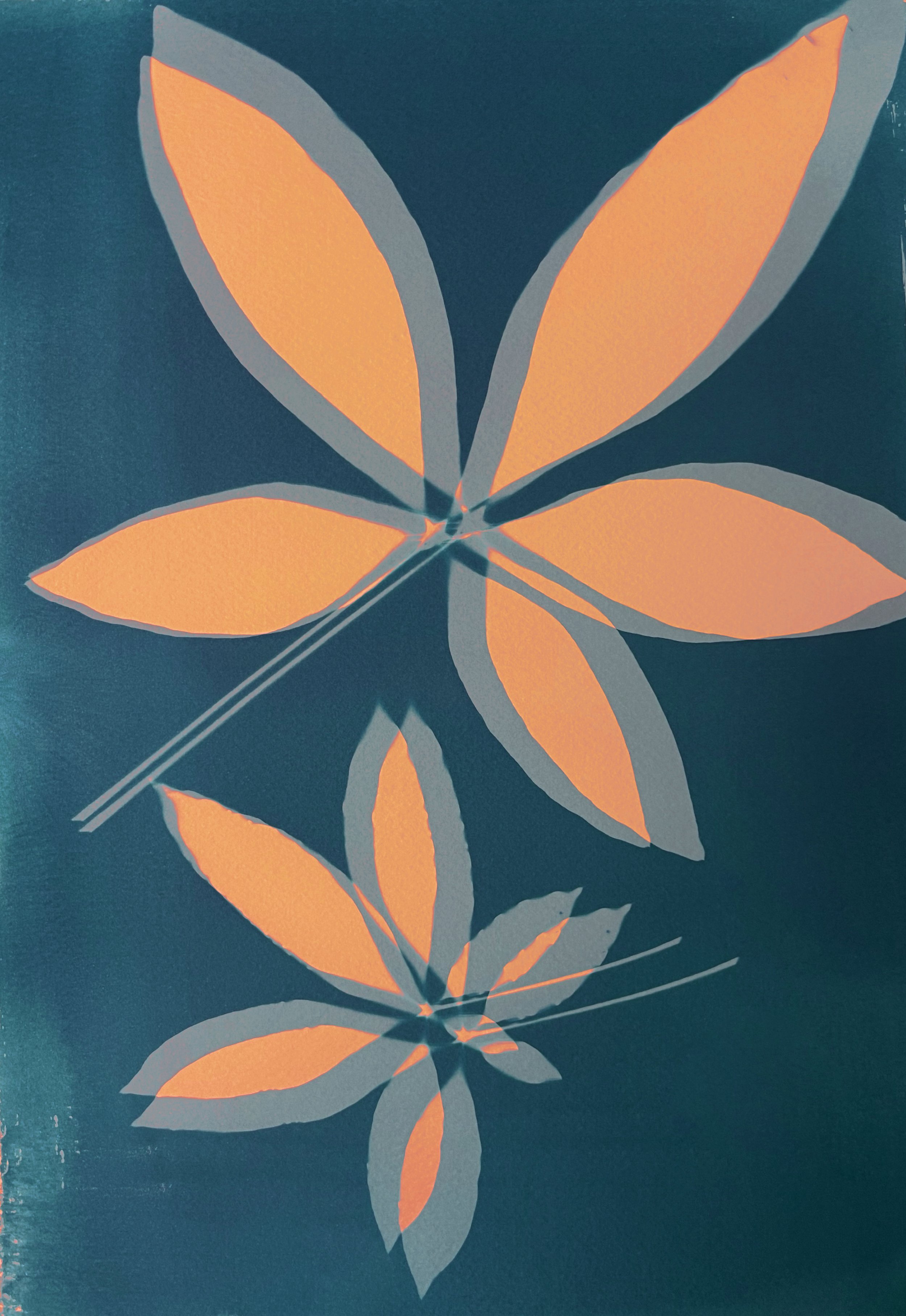 Mony Tree Neorange1.jpg