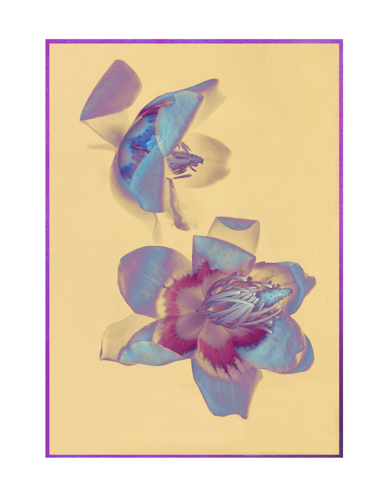 +Card+leaf+yellow+and+purple+10x6.5.jpg