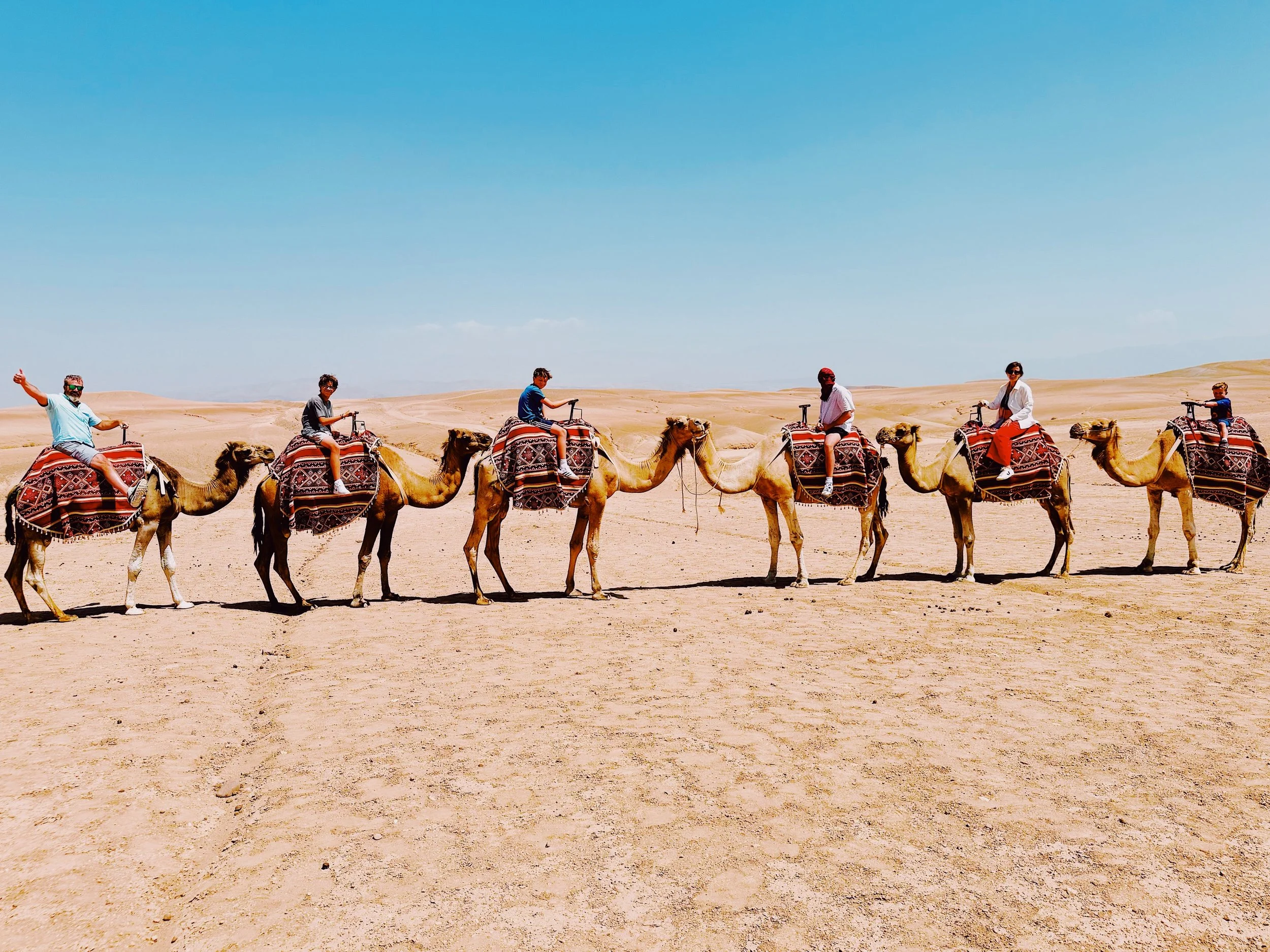 erin freeman camels.JPG