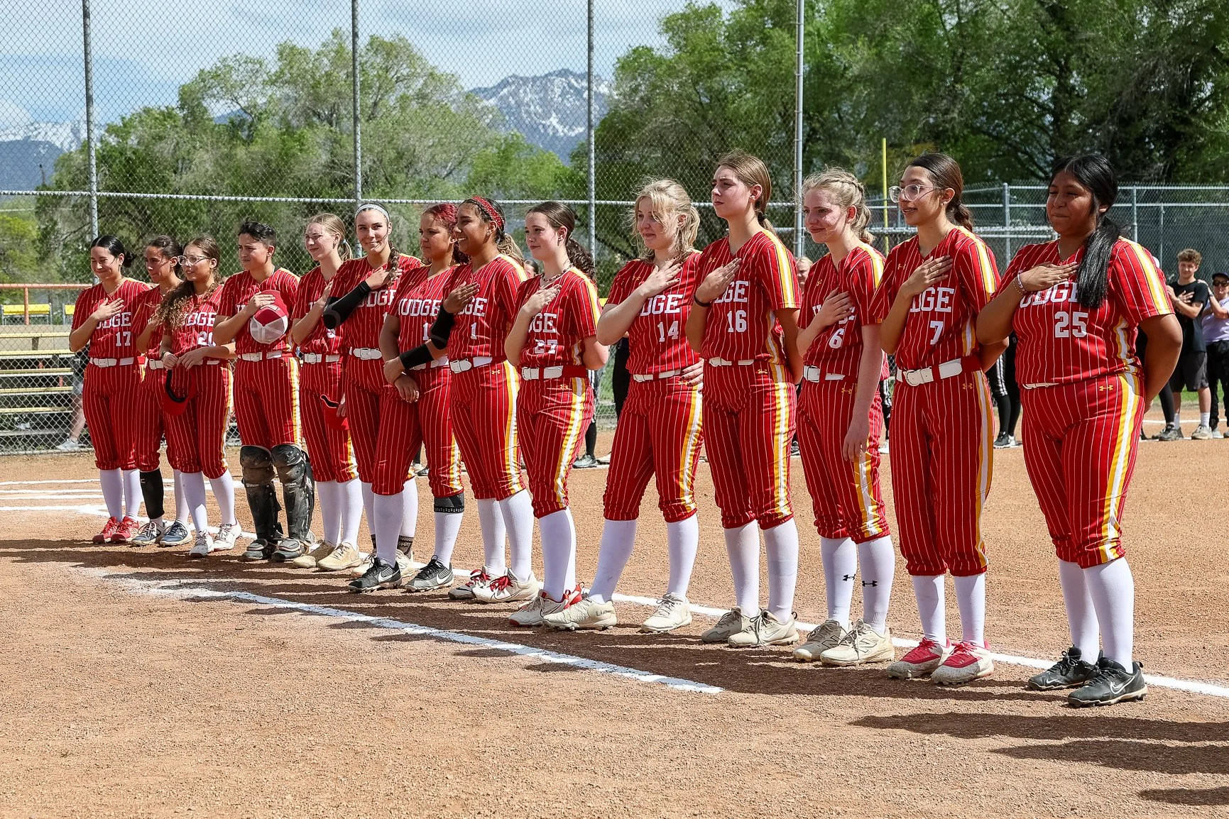 softball pledge.jpg