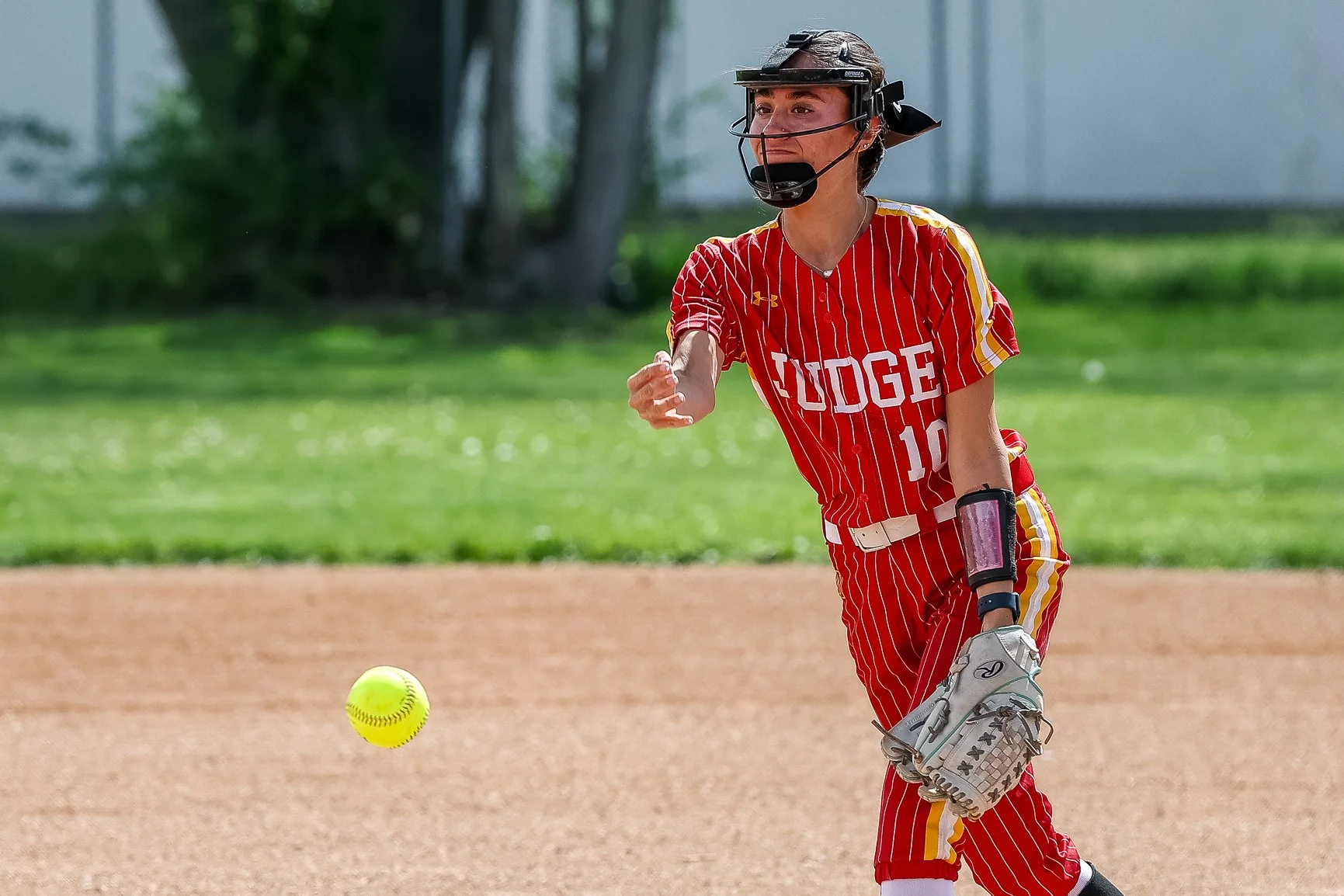 softball mask.jpg