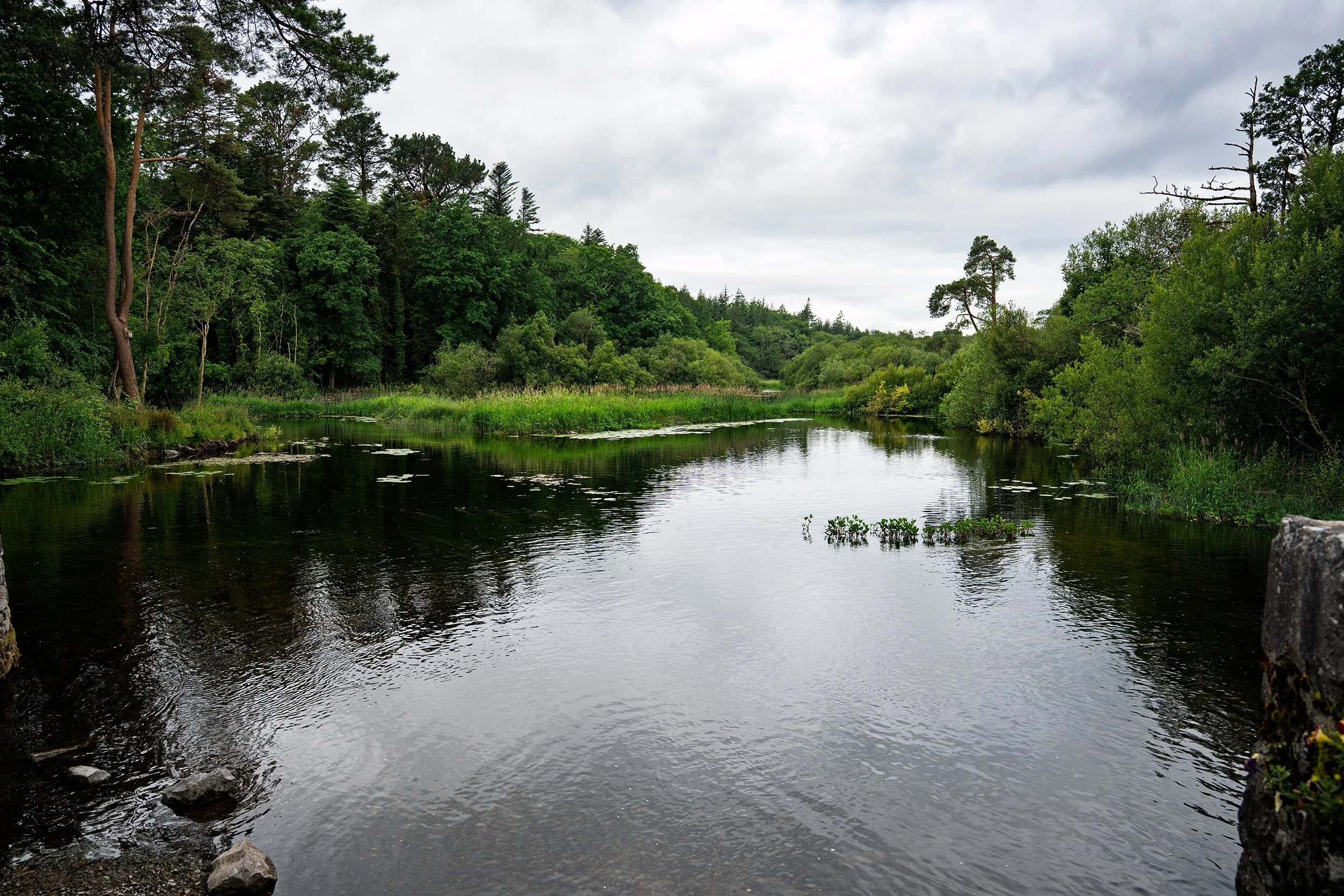 Lake, Cong