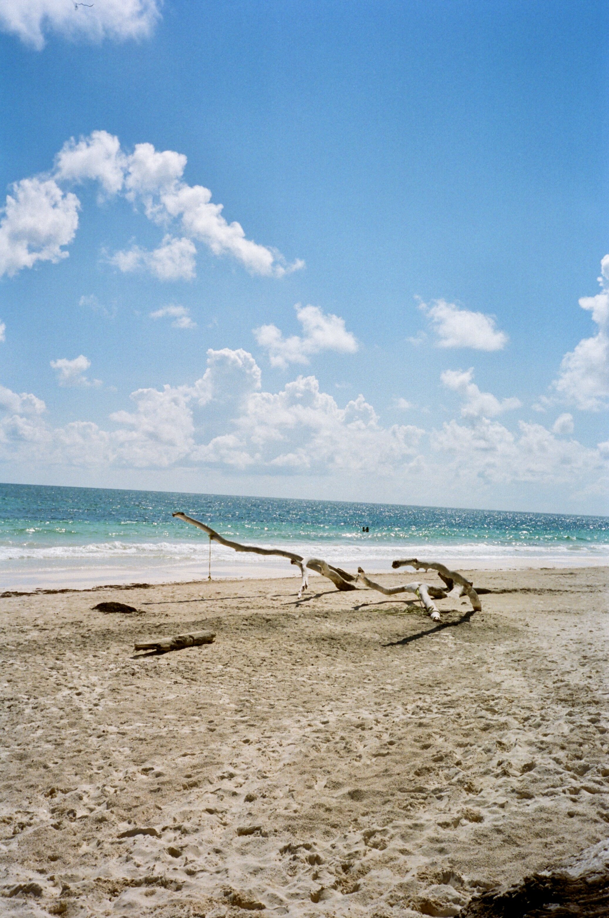 0008_7.jpg