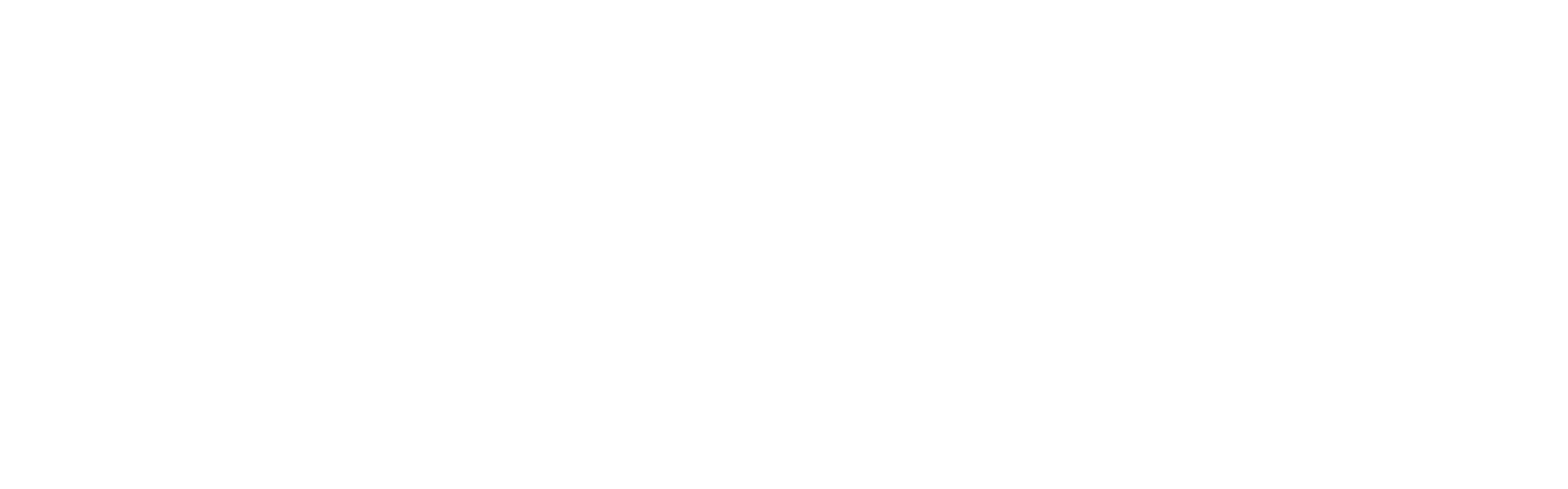 VISCERAL FILM STUDIOS logo with a stylized film strip forming a V to the left of the text