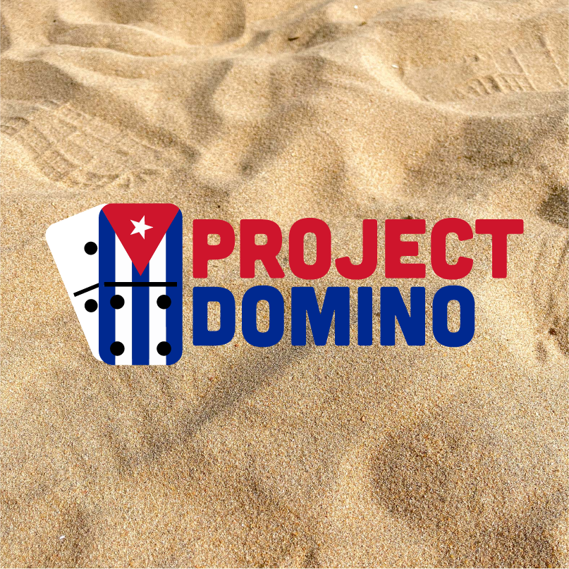 Project Domino (Coming Soon)