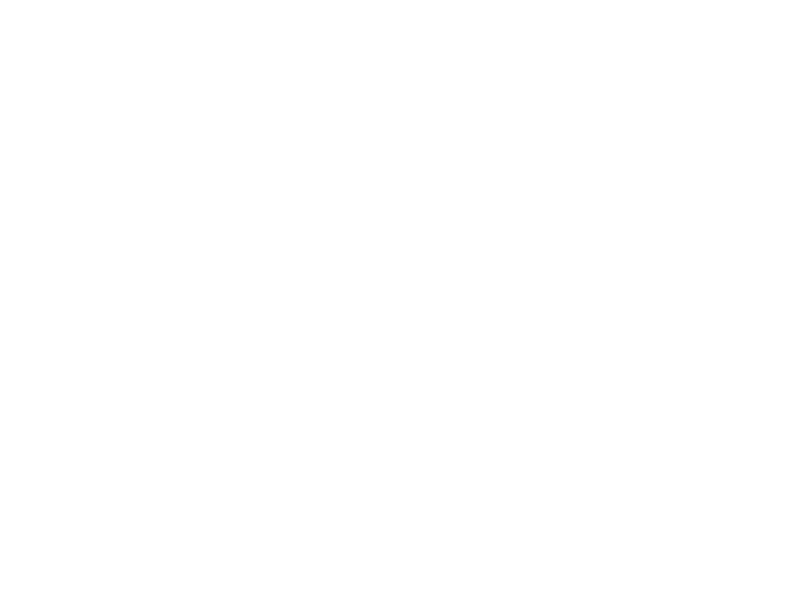 Black and white logo of Brenau University featuring an arched Gothic window with a flame inside and the text 'Brenau University 1878' below.