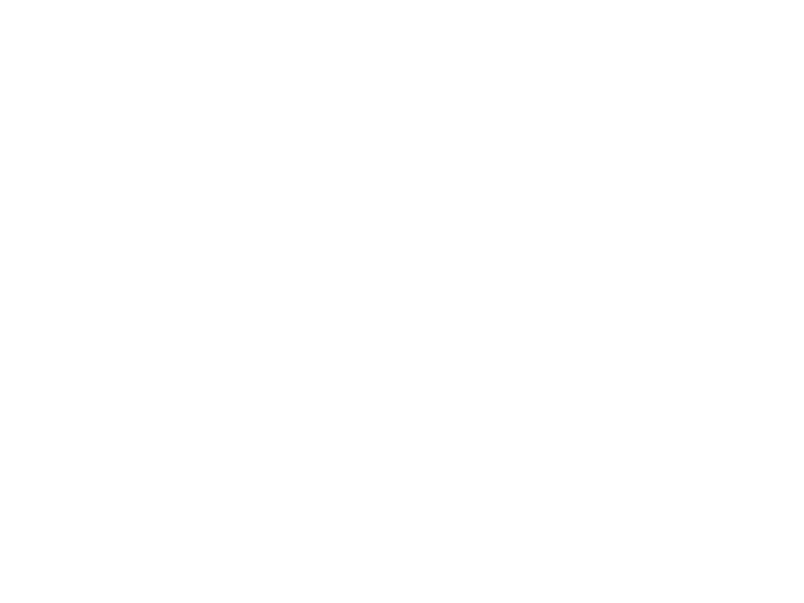 Black and white logo of the brand ZeD, with the brand name in bold letters inside an oval outline.