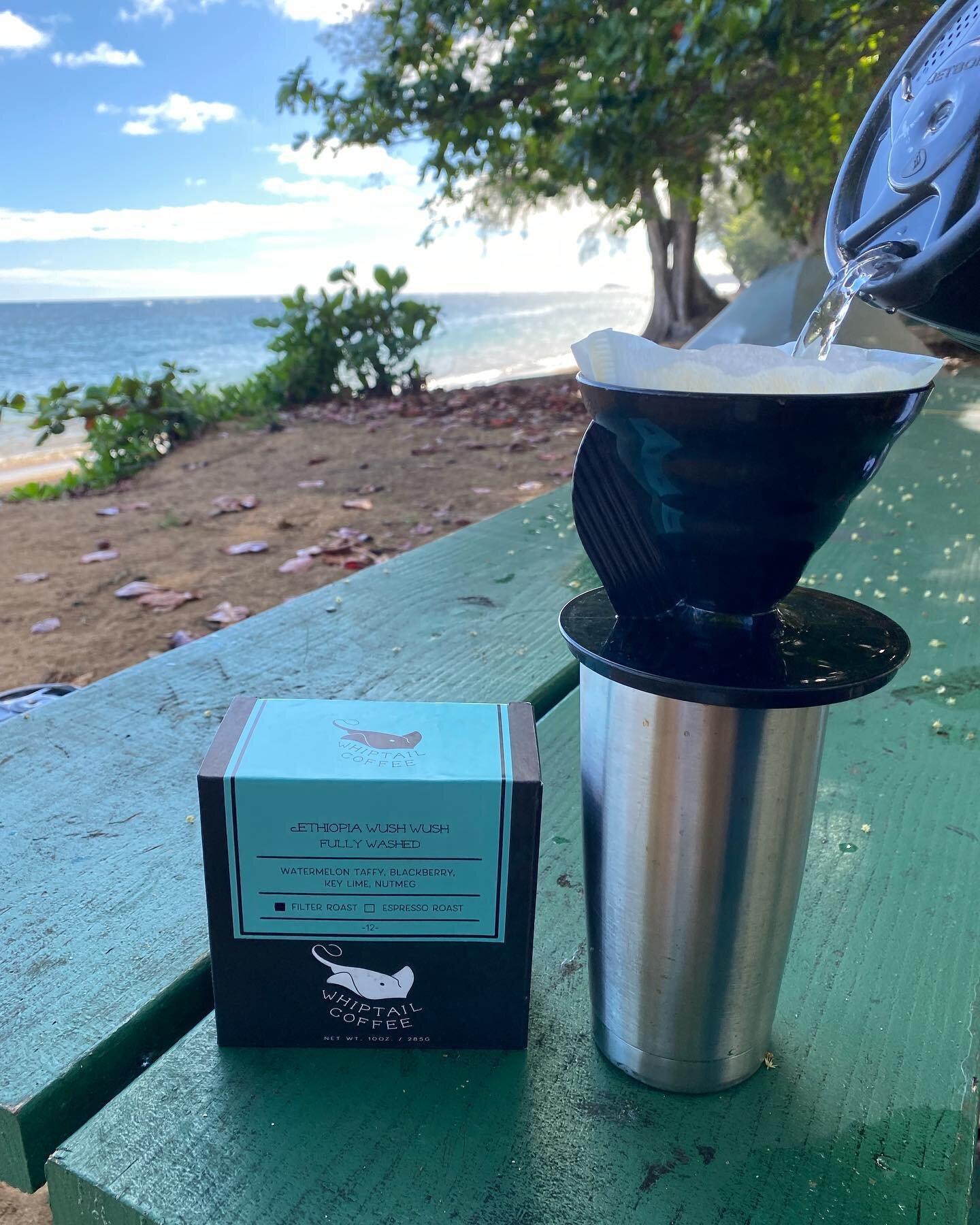 We haven&rsquo;t done a proper release of our Ethiopia Wush Wush from @catalysttrade, so what better time to release than brewing it by the beach! We taste watermelon taffy, blackberry, key lime, and nutmeg.
