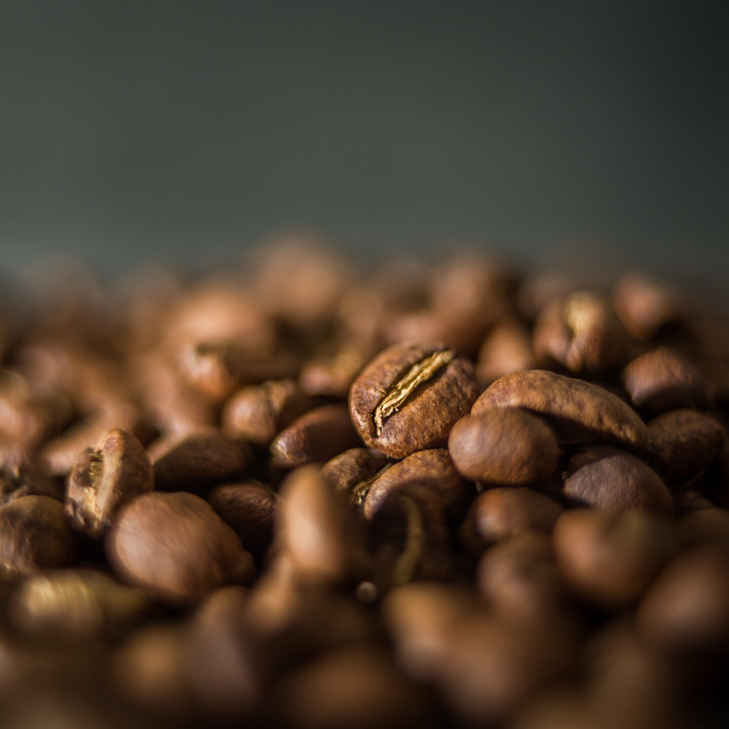 Hey everyone! We're going to take the time to answer some questions on our values, our coffees, and how Whiptail works. First up: how do we choose the coffees we roast? 

When we are ready for a new coffee in our lineup, we request samples from impor