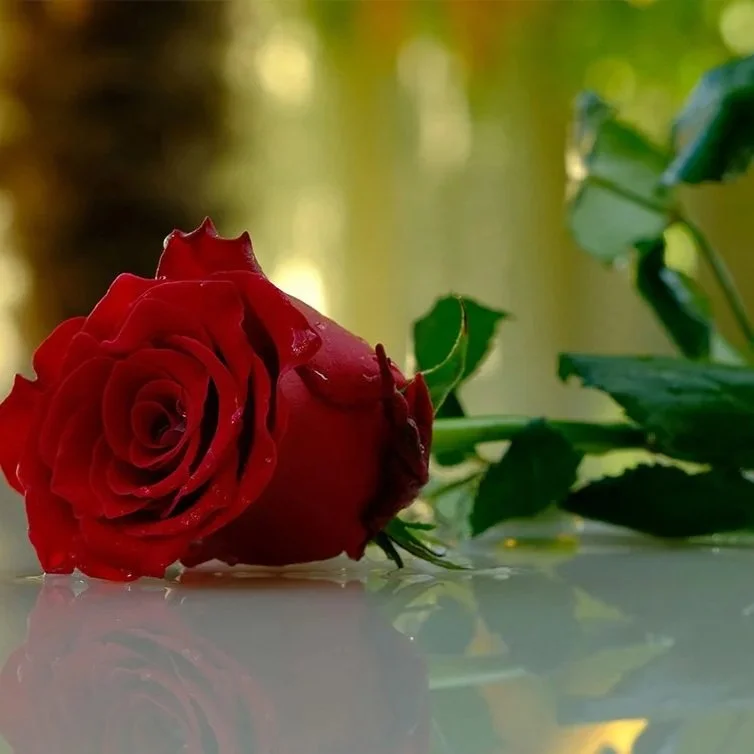 Coping With Your Own Grief