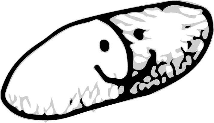 Untitled-5.png