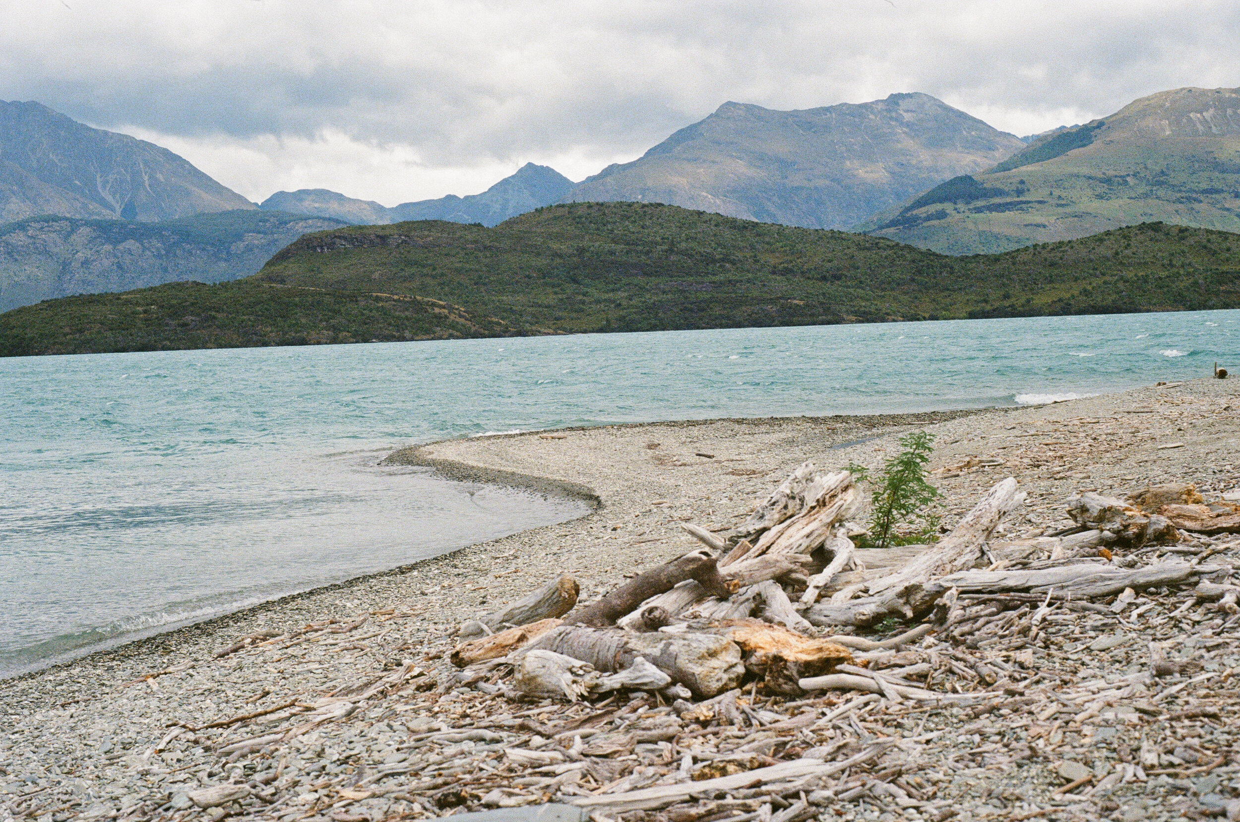 Gelnorchy, Aotearoa New Zealand