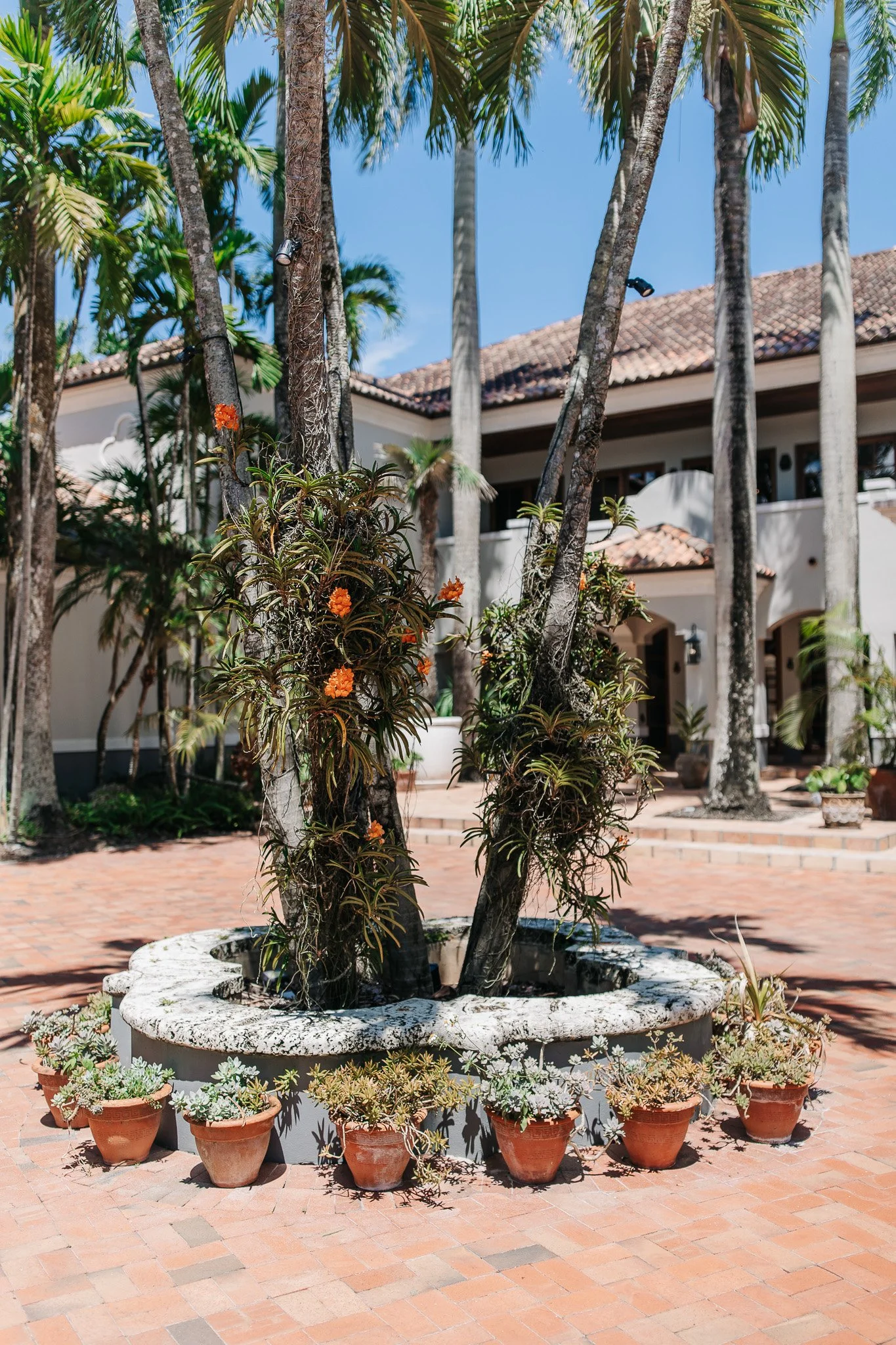 Cynthia-Rodrigo-Royal-Mansion-&-Gardens-Miami-Wedding-1.jpg