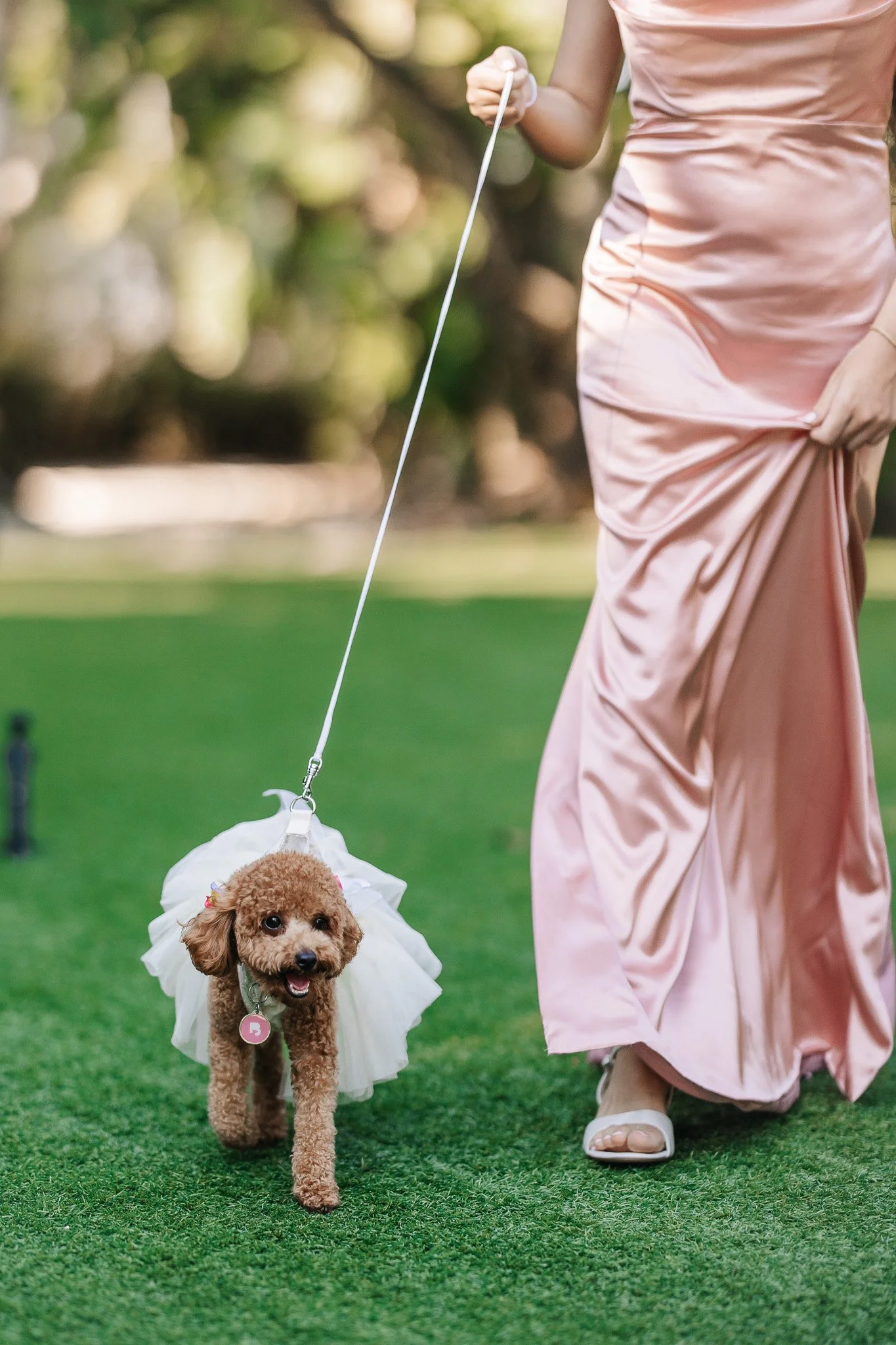 Cynthia-Rodrigo-Royal-Mansion-&-Gardens-Miami-Wedding-458.jpg
