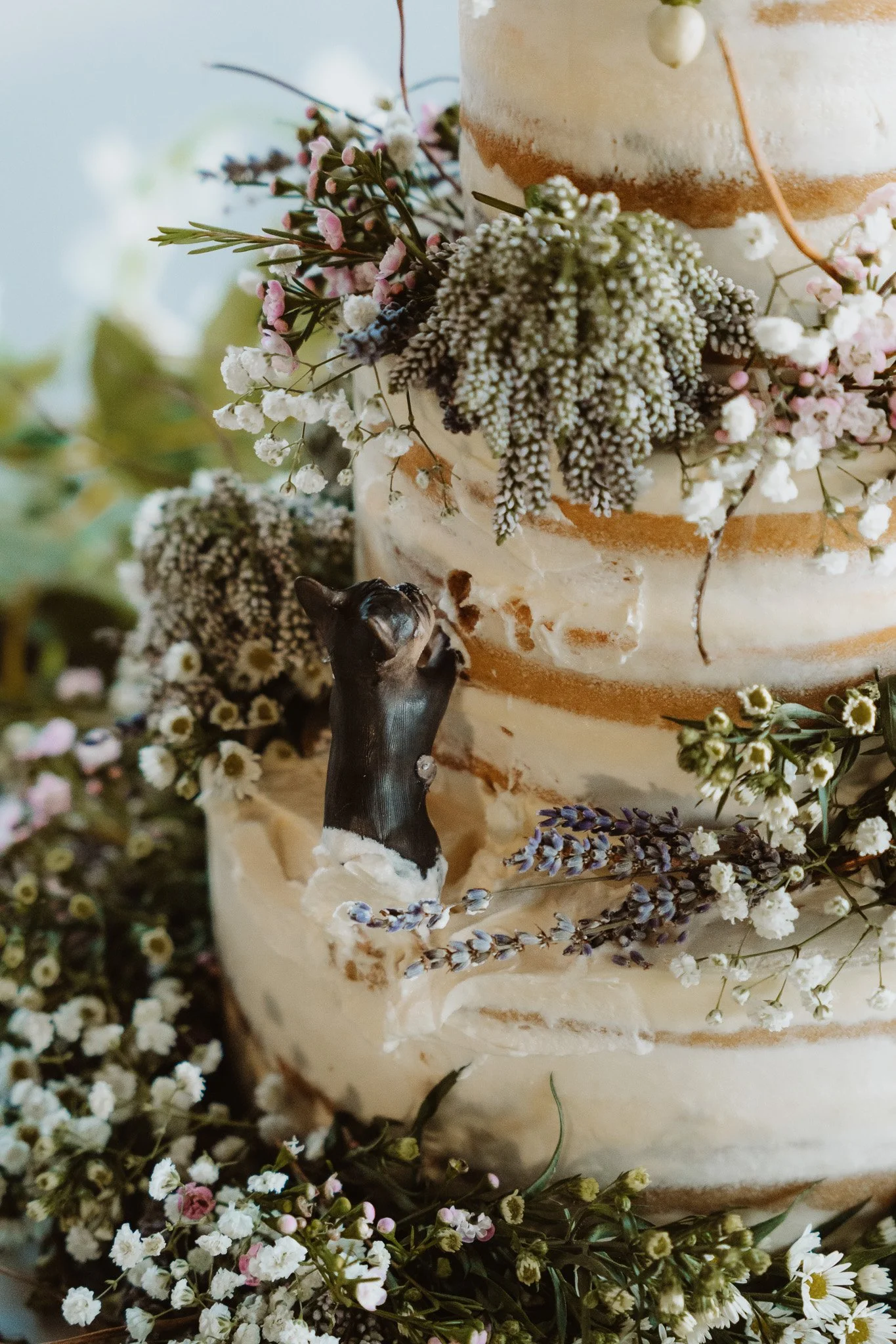 Isabella_John_The_Lake_House_Fort_Pierce_Wedding-759.jpg