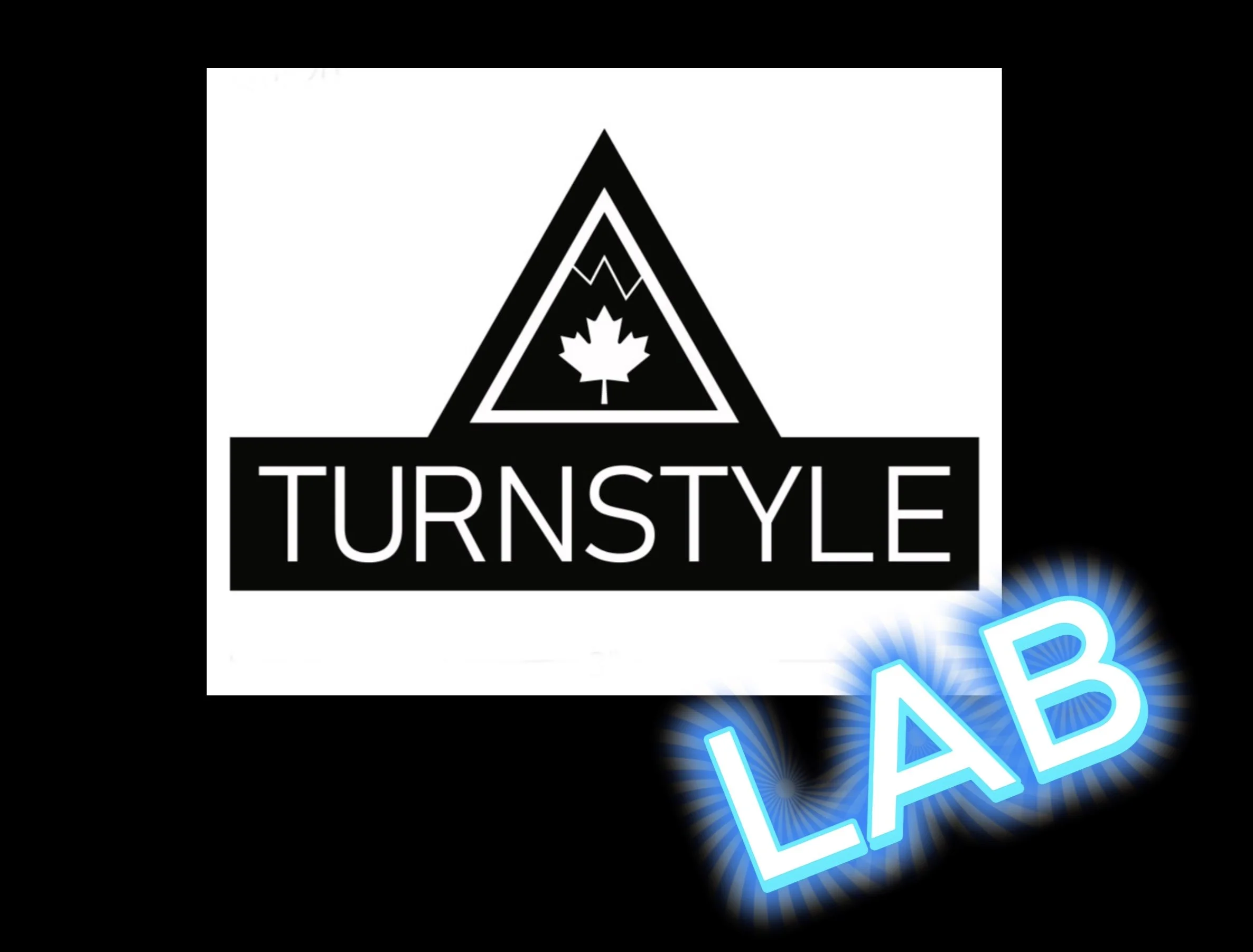 TURNSTYLE LAB - MARTOCK - Understanding vs Execution