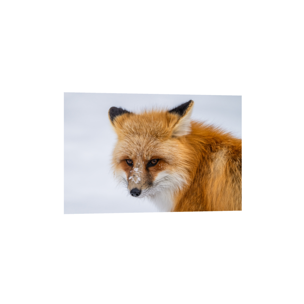 ptq_34_3_0_0_7150_4766_0_false_ffffff_0_0_.png