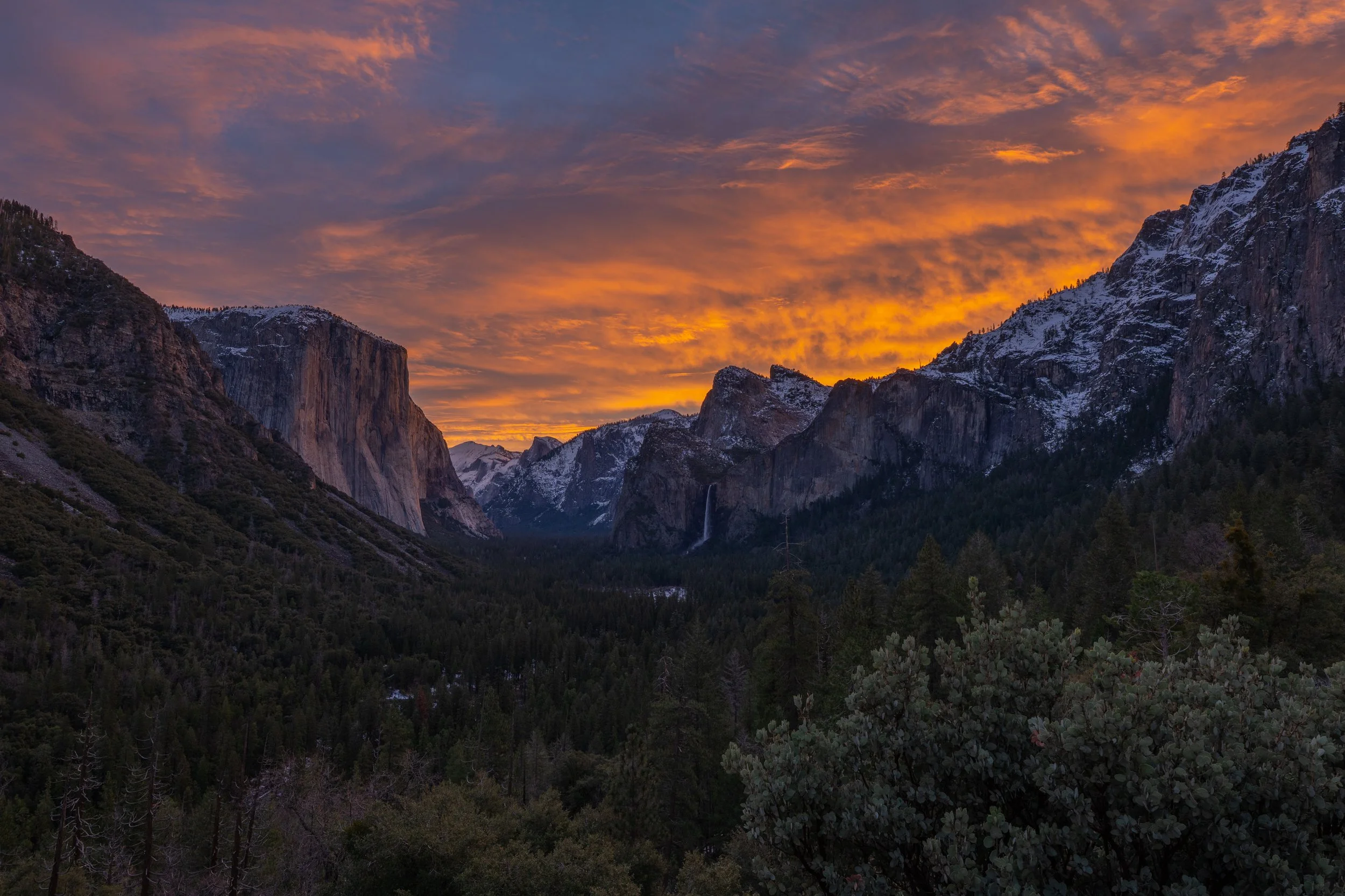 Yosemite National Park