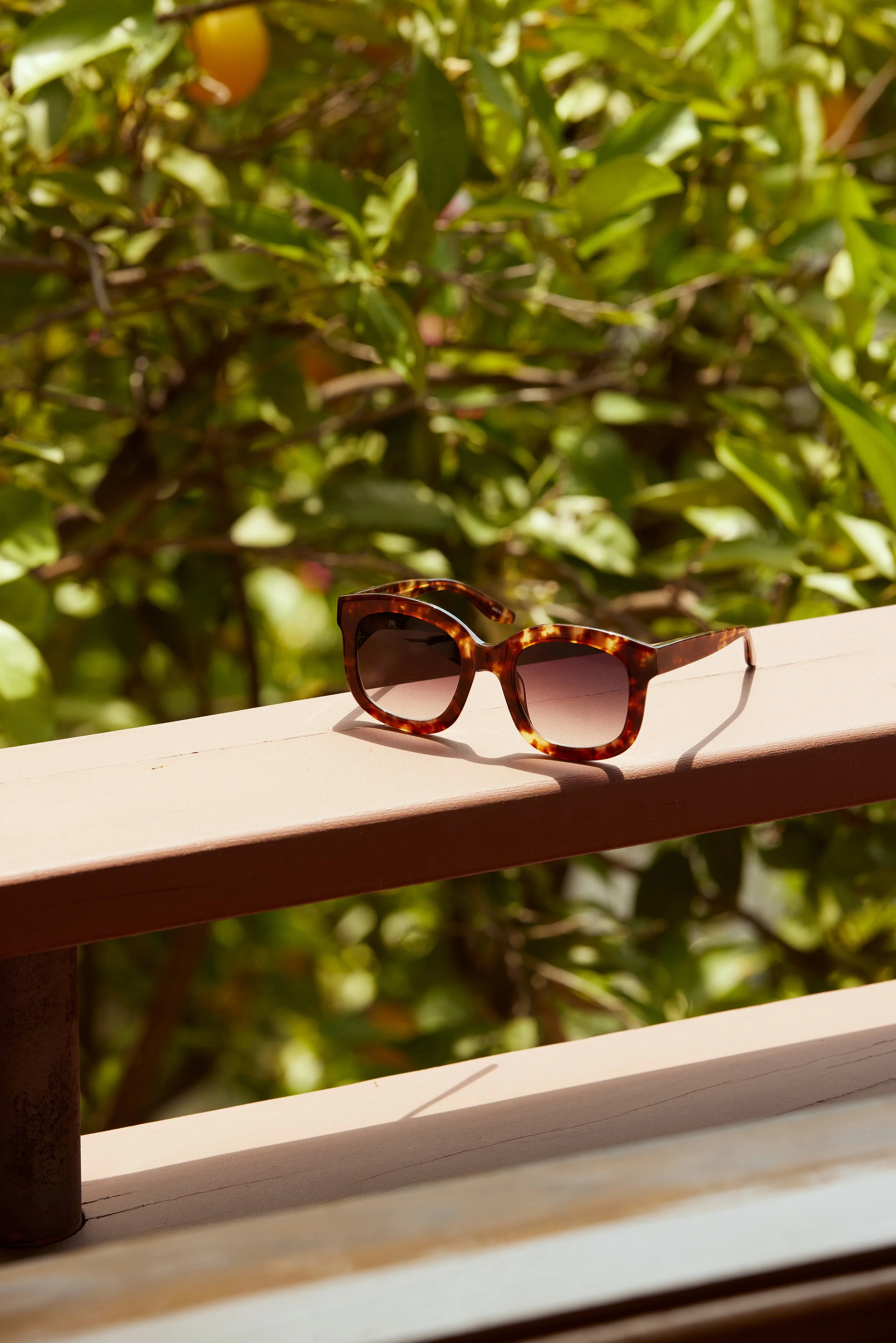 Quannah_2024_09_12_BP_0529 copy.jpg