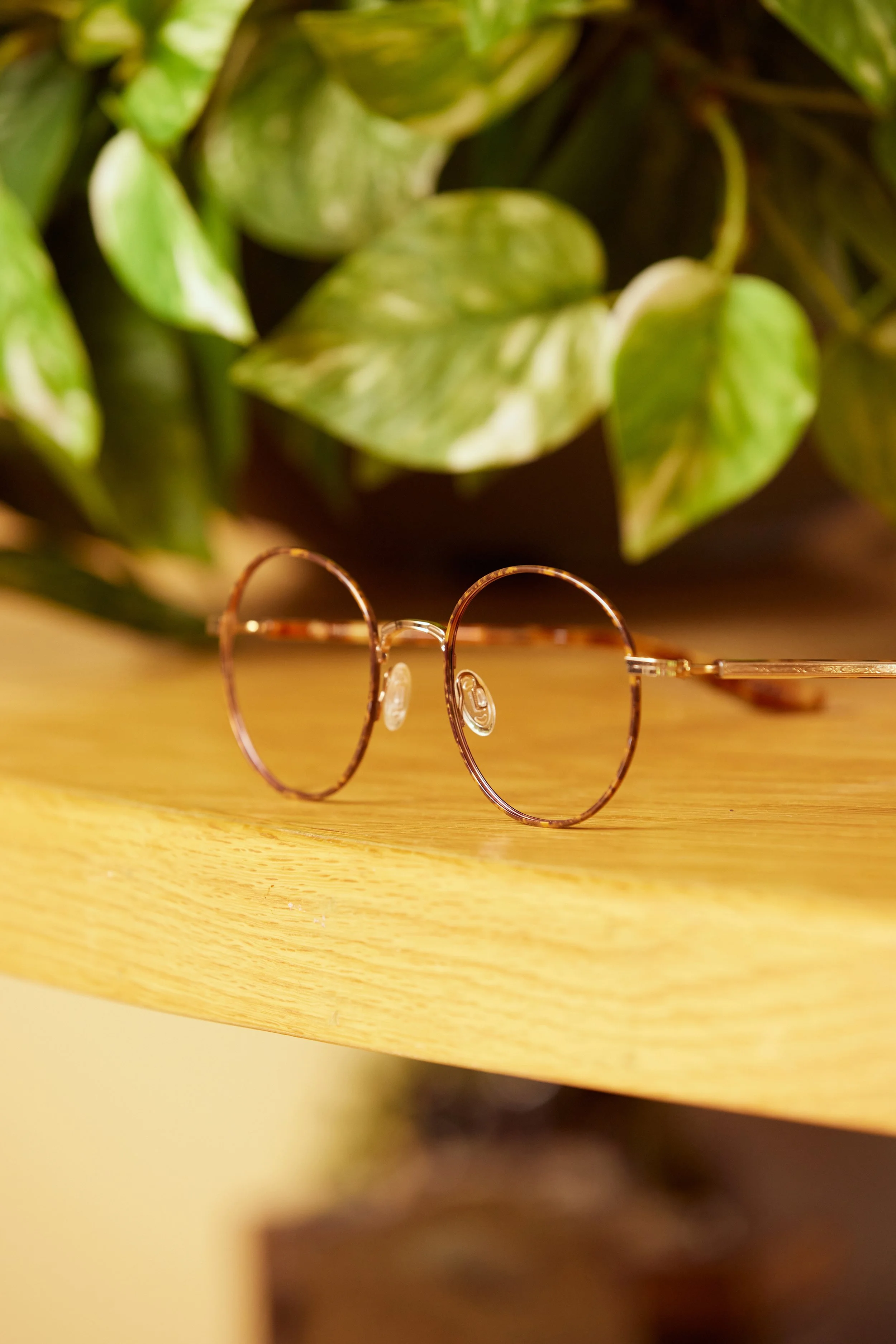 Caster_2024_09_12_BP_1510 copy.jpg