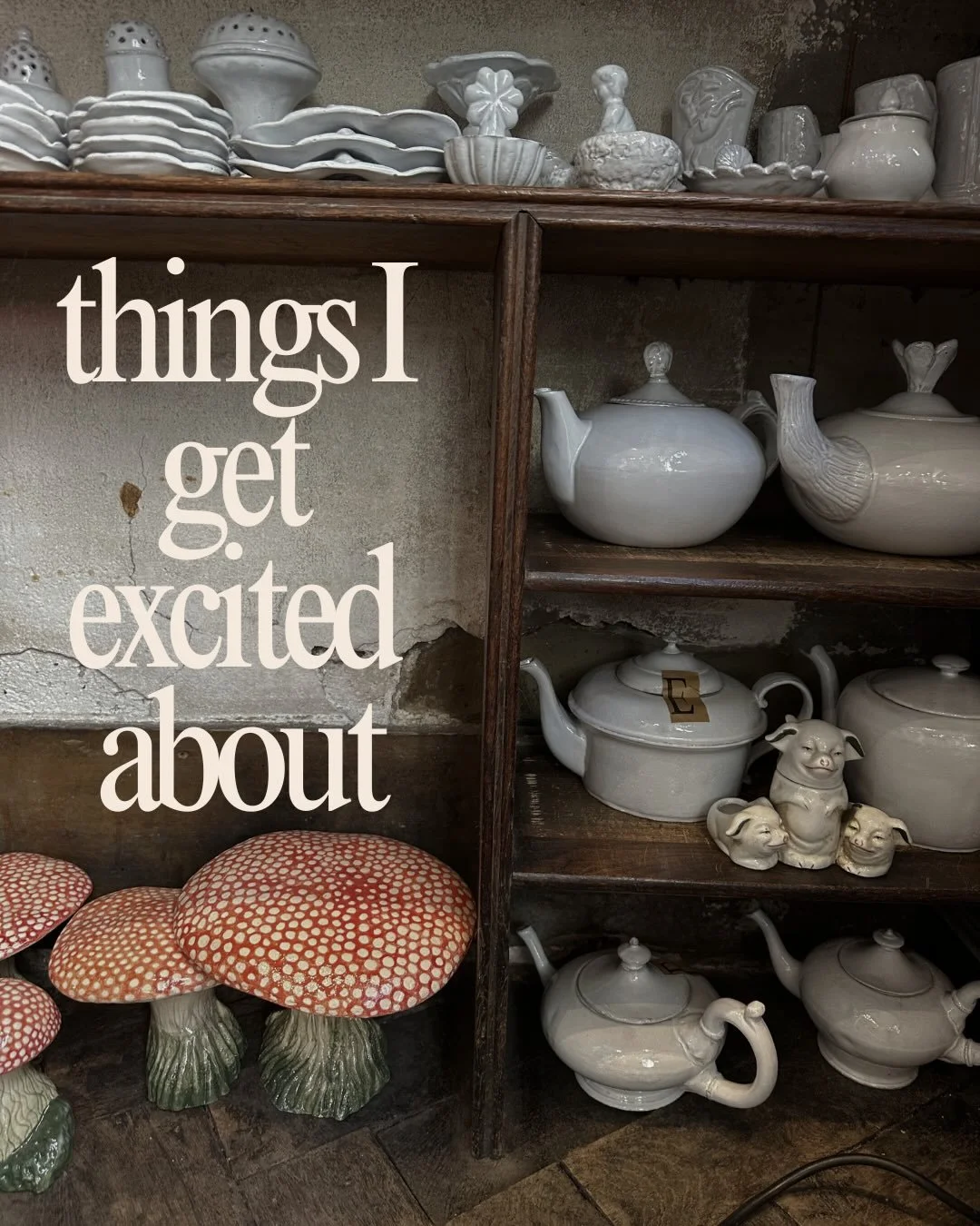 What gets you all jazzed up? 

Astute de villatte, Parisian shops, and mushrooms as decor forever and always.

Antiquing (it&rsquo;s in my blood, my grandfather raised me on flea markets and estate sales). 

Weird collections: animals as humans, squi