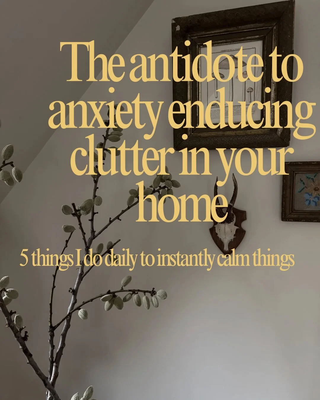 Here&rsquo;s my daily/weekly routine (no one asked for) and my tips for keeping the home clutter free. 

I do it daily when home from all the afternoon driving of the kiddos. Before dinner prep. Create the calm, and then settle in for dinner and a li