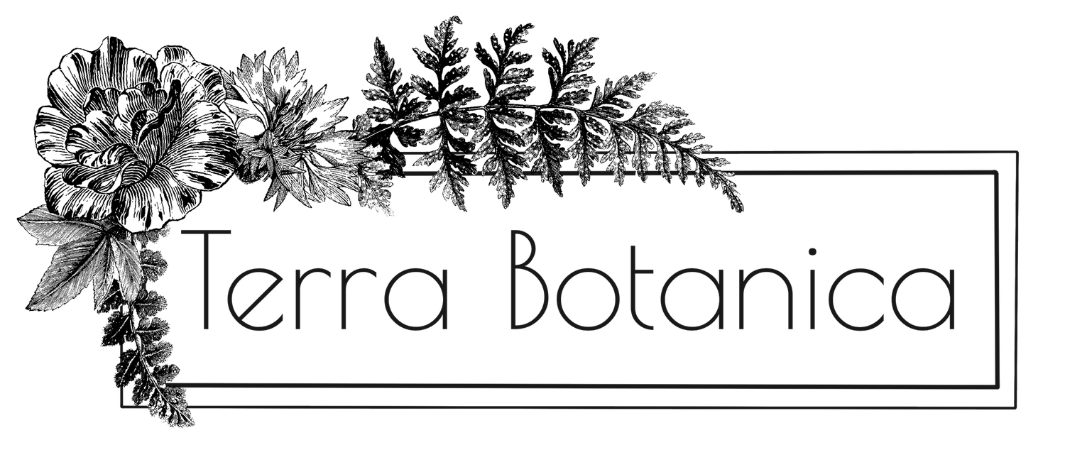 Terra Botanica