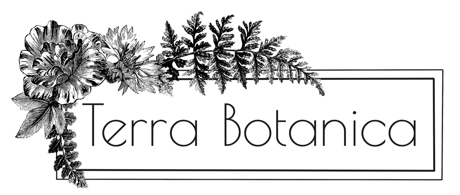 Terra Botanica