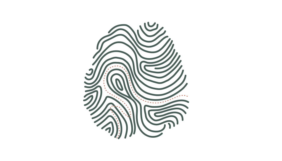A stylized map of topography view of the brain in black with red dotted lines outlining a specific pattern inside it.