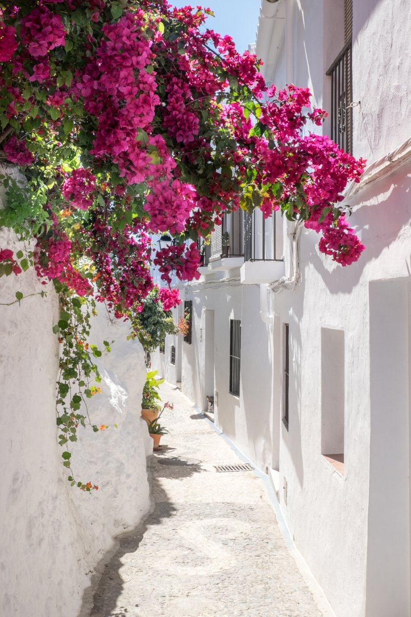 frigiliana_1.jpeg