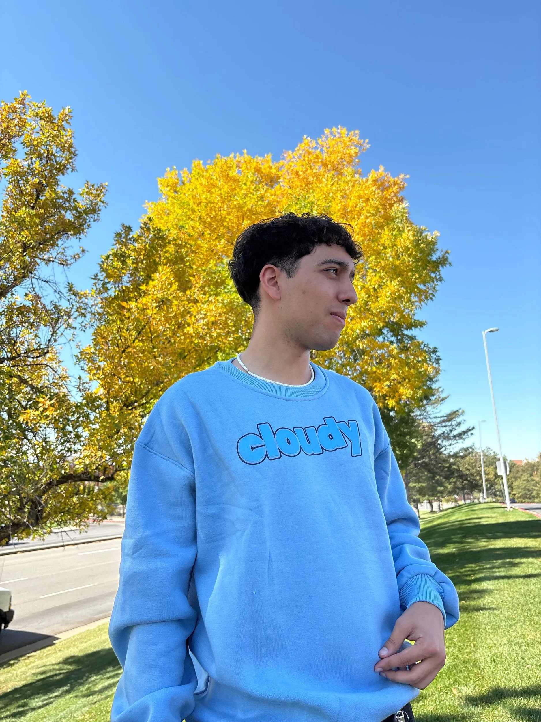 classic crewneck