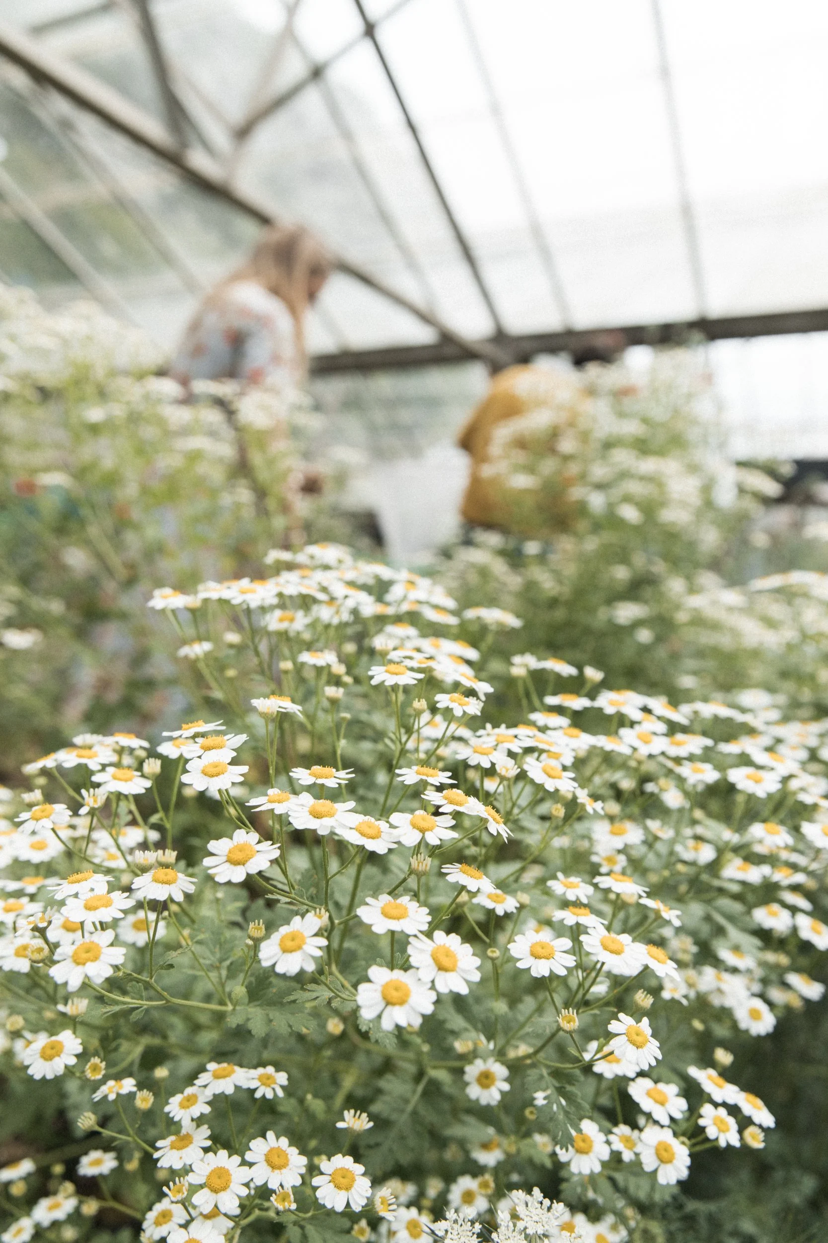 Gold Leafing @ Kokutan-38.jpg