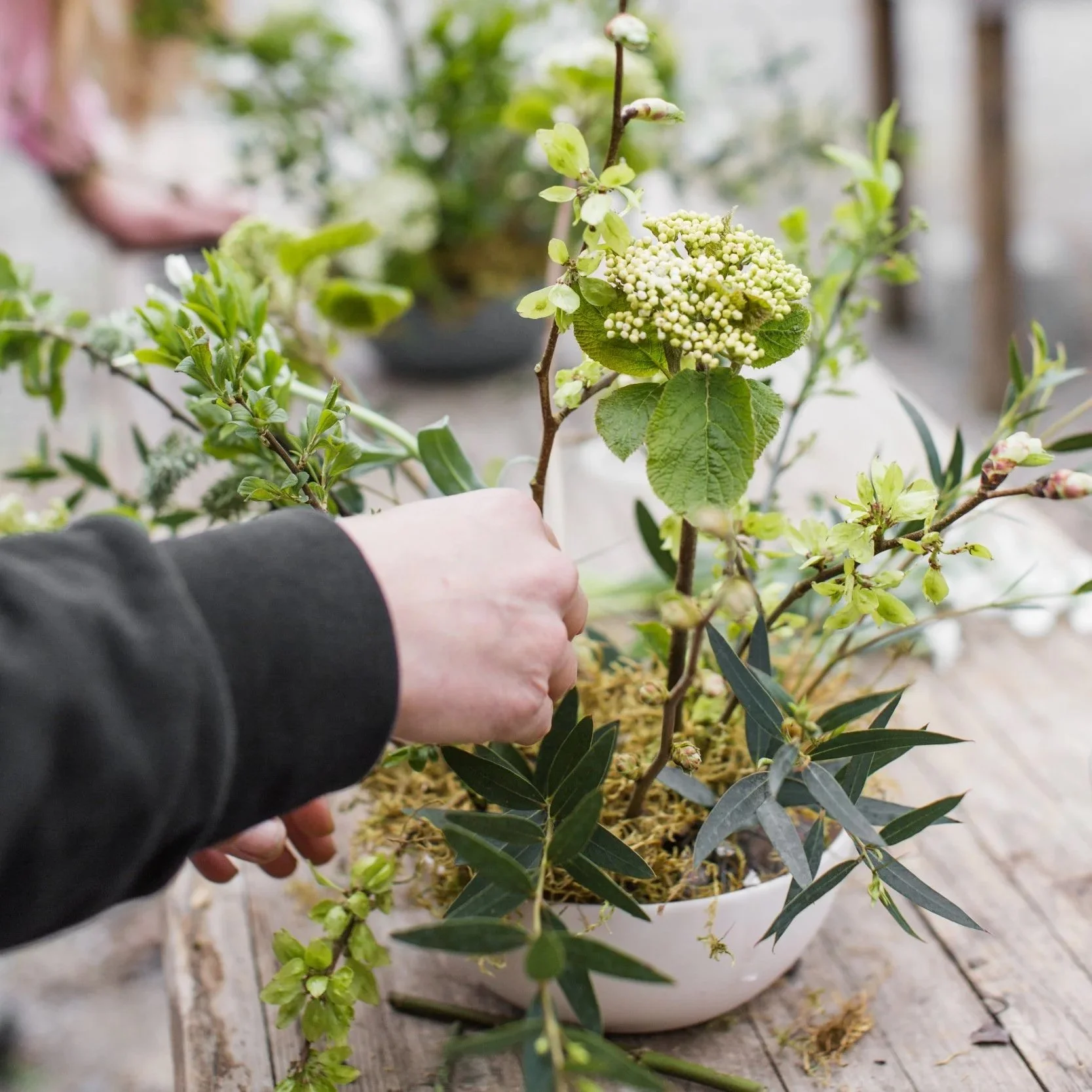 Kokutan_Spring+Bowl+Workshop-24.jpg