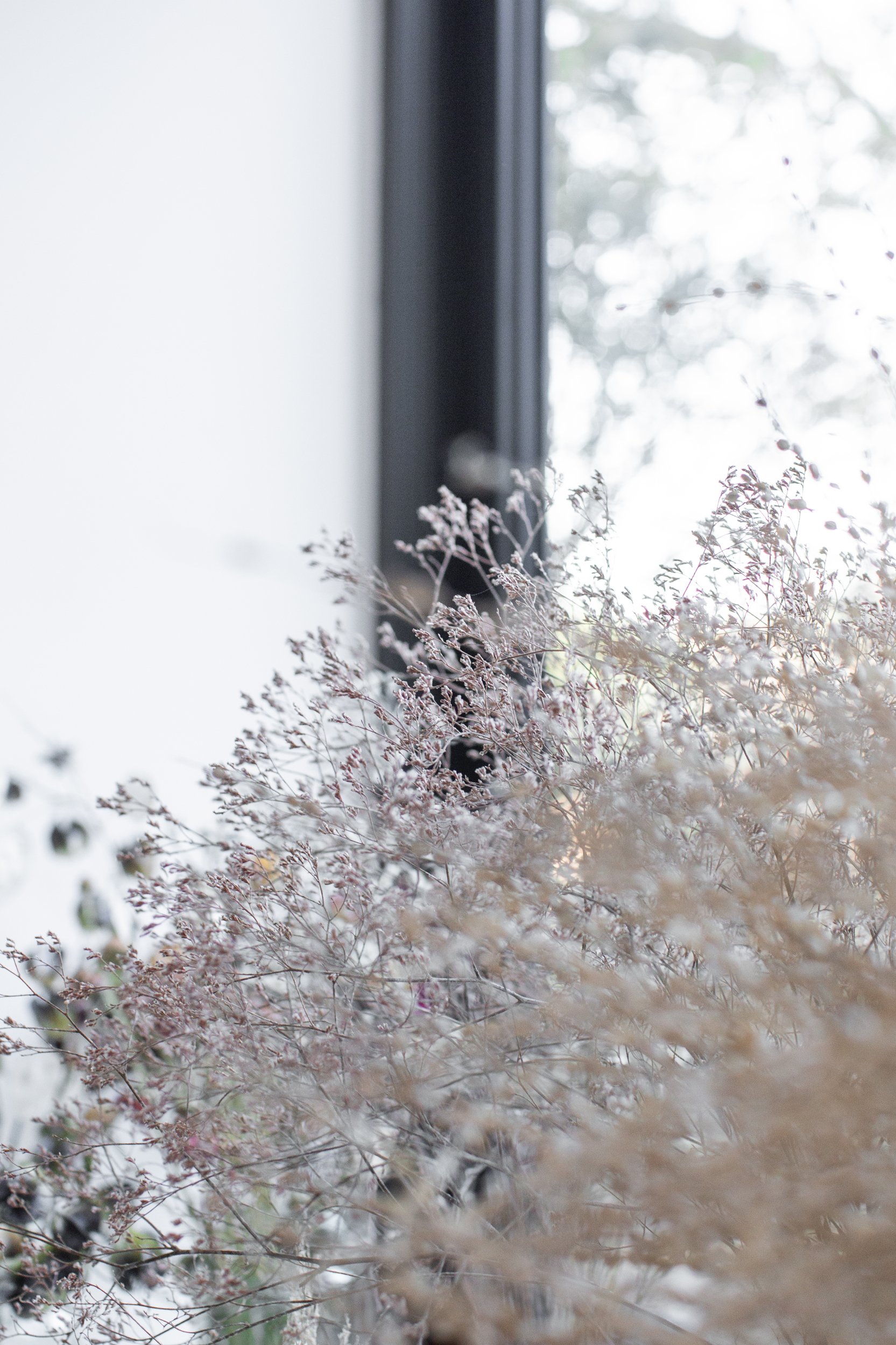 dried flowers, grasses and seedheads at Kokutan flower farm in Devon