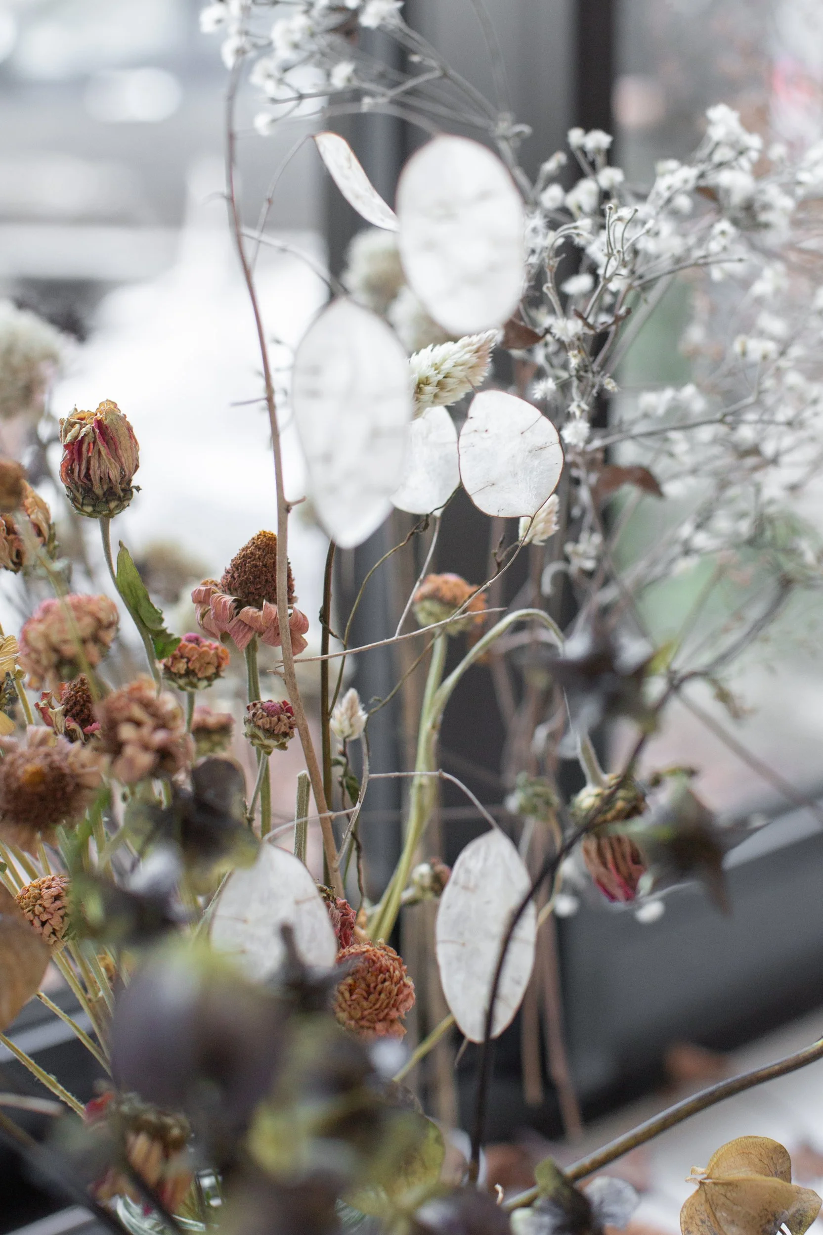 dried flowers, grasses and seedheads at Kokutan flower farm in Devon