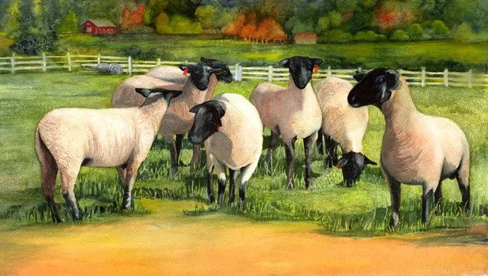 Heart Bleats for EWE.jpg